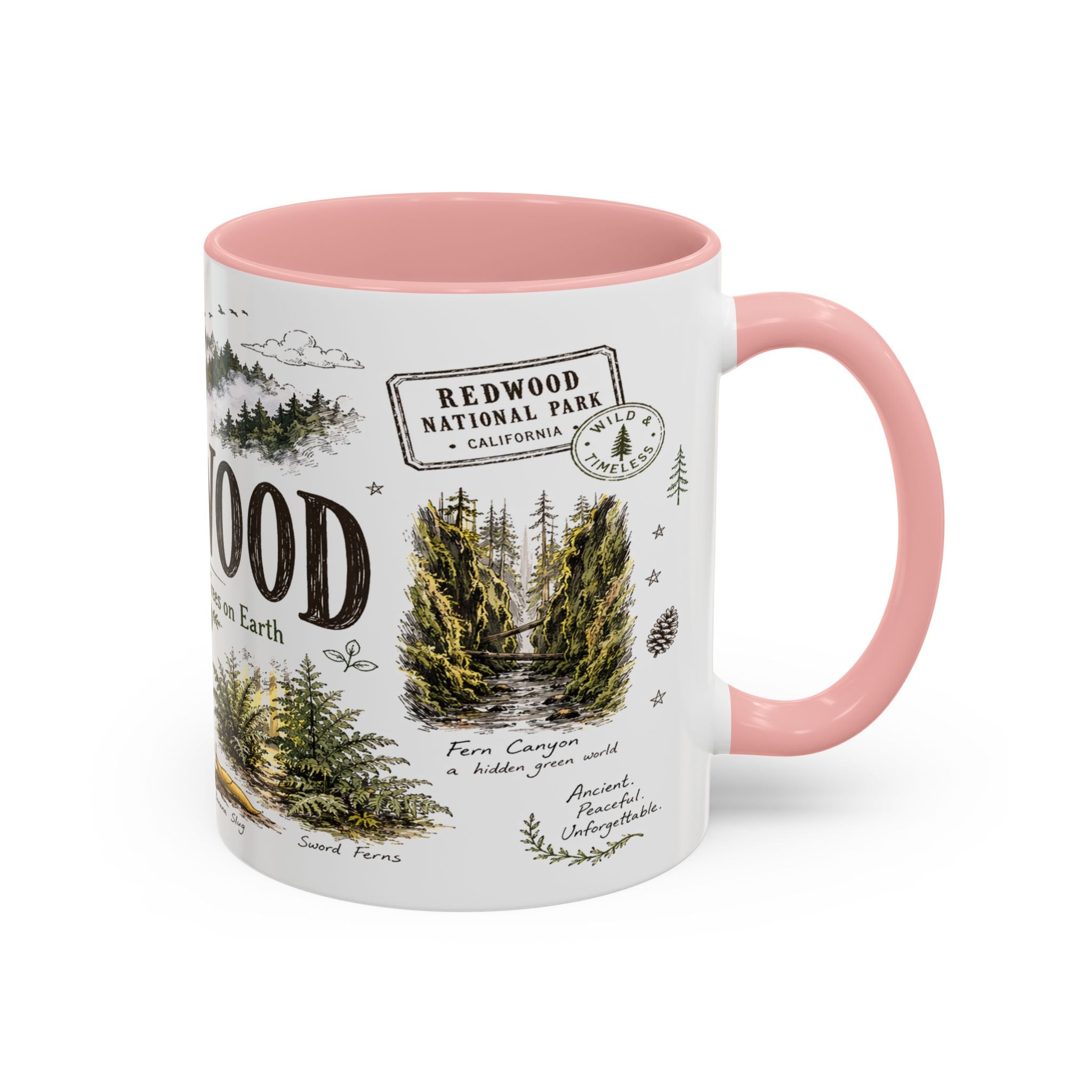 Redwood National Park Coffee Mug | California Coastal Forest Hiking Gift | Accent Color Ceramic 11oz 15oz