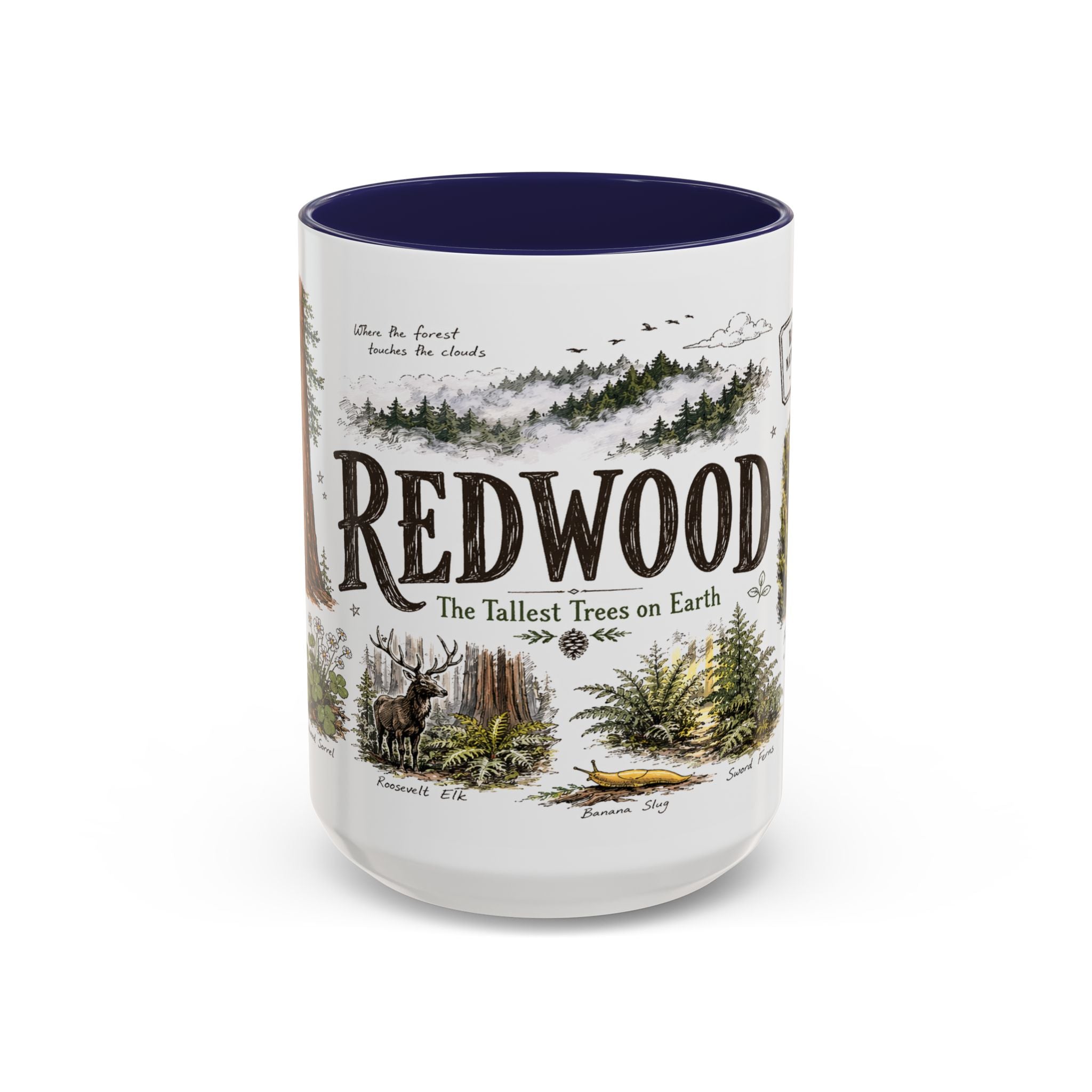 Redwood National Park Coffee Mug | California Coastal Forest Hiking Gift | Accent Color Ceramic 11oz 15oz