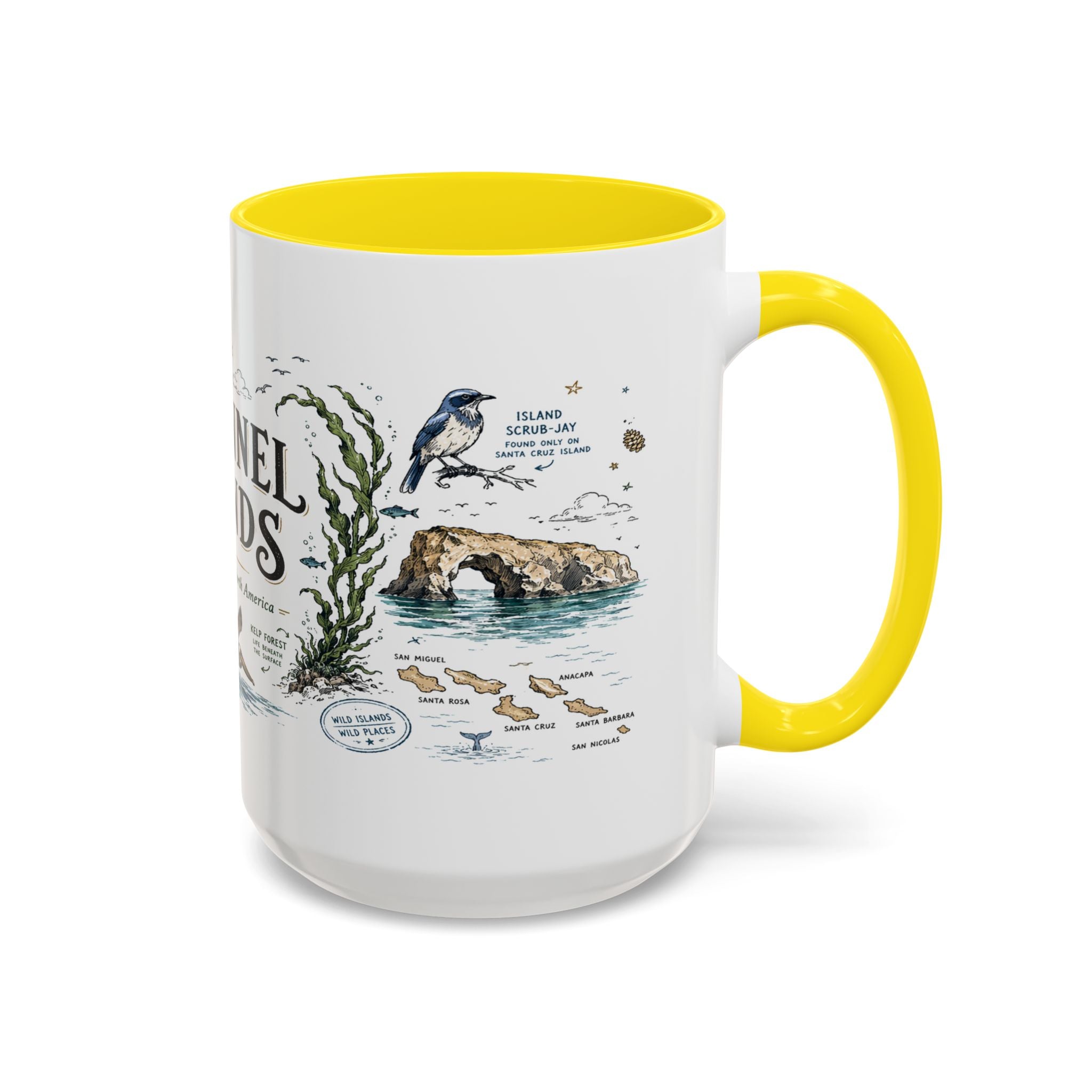 Channel Islands National Park Coffee Mug | California Island Wildlife Marine Gift | Accent Color Ceramic 11oz 15oz