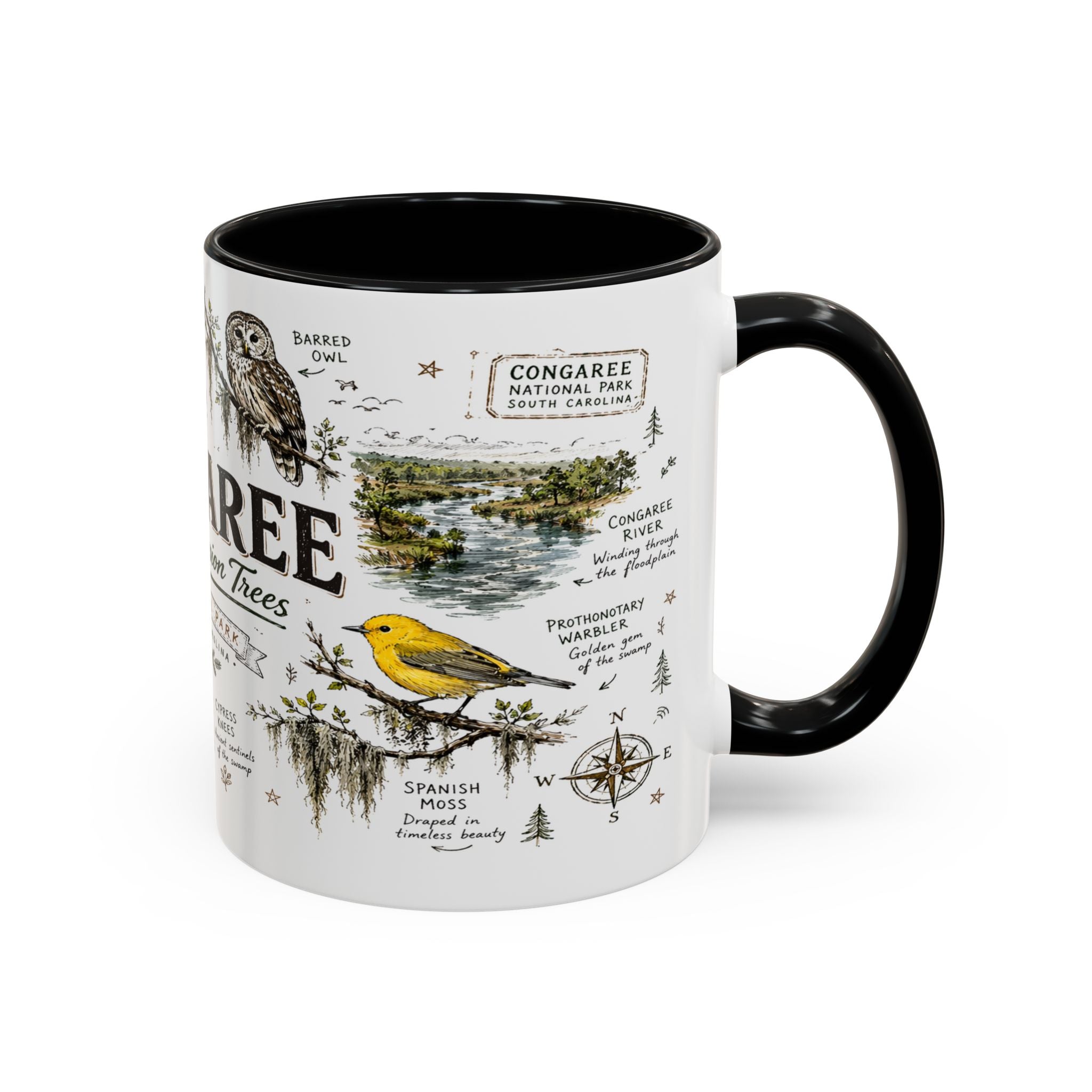Congaree National Park Coffee Mug | South Carolina Forest Floodplain Gift | Accent Color Ceramic 11oz 15oz