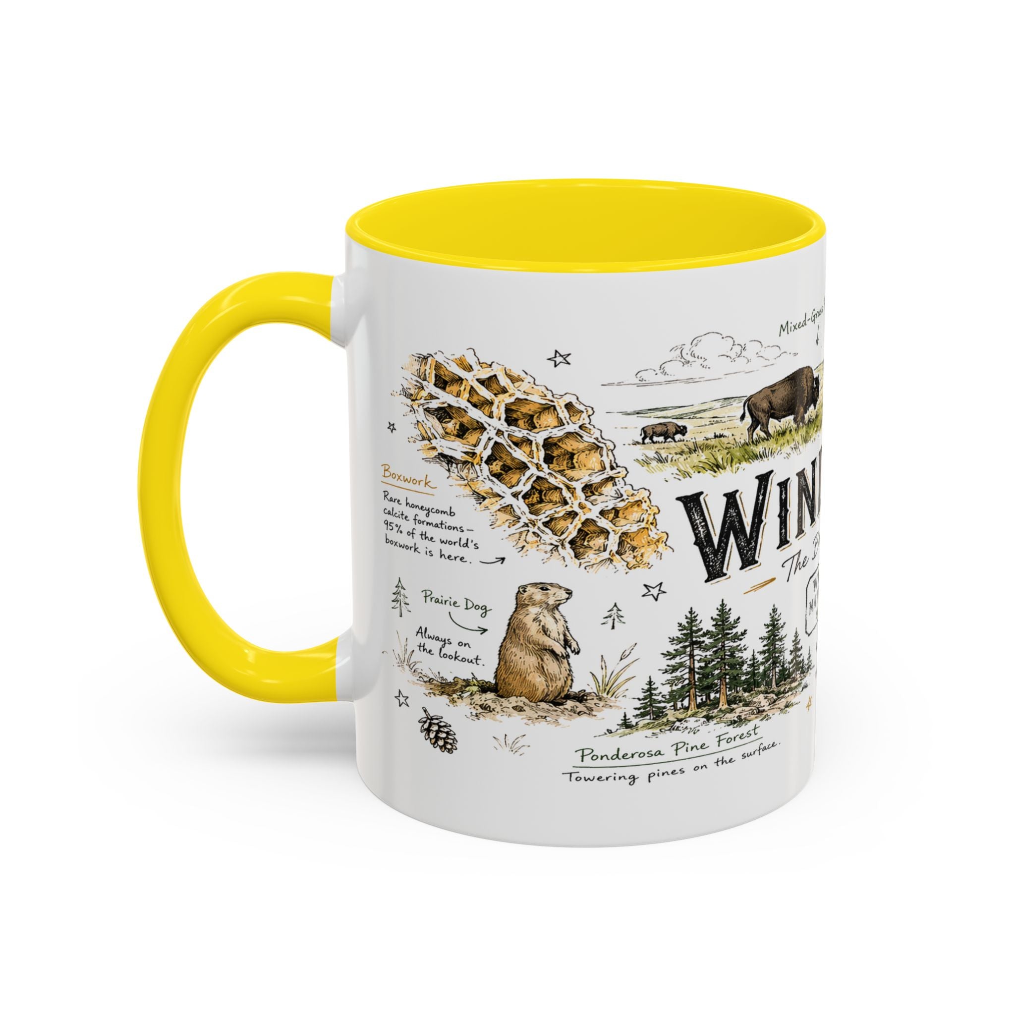 Wind Cave National Park Coffee Mug | South Dakota Cave Bison Prairie Gift | Accent Color Ceramic 11oz 15oz