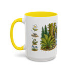 Olympic National Park Mug | US Travel Souvenir Accent Coffee Mug | 11oz 15oz Ceramic Cup
