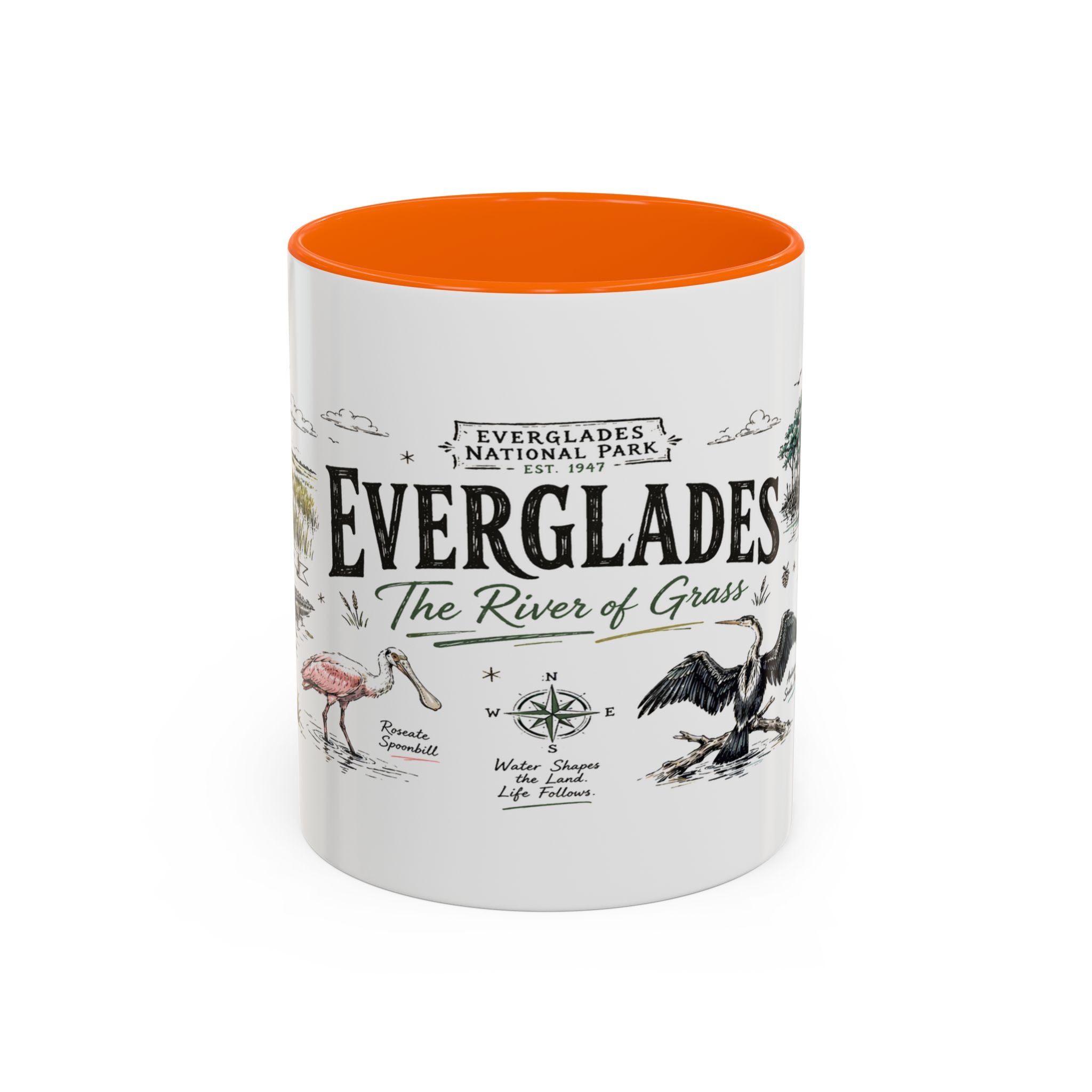 Everglades National Park Coffee Mug | Florida Wetlands Wildlife Kayak Gift | Accent Color Ceramic 11oz 15oz