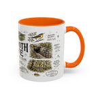 Mammoth Cave National Park Coffee Mug | Kentucky Cave Exploration Hiking Gift | Accent Color Ceramic 11oz 15oz