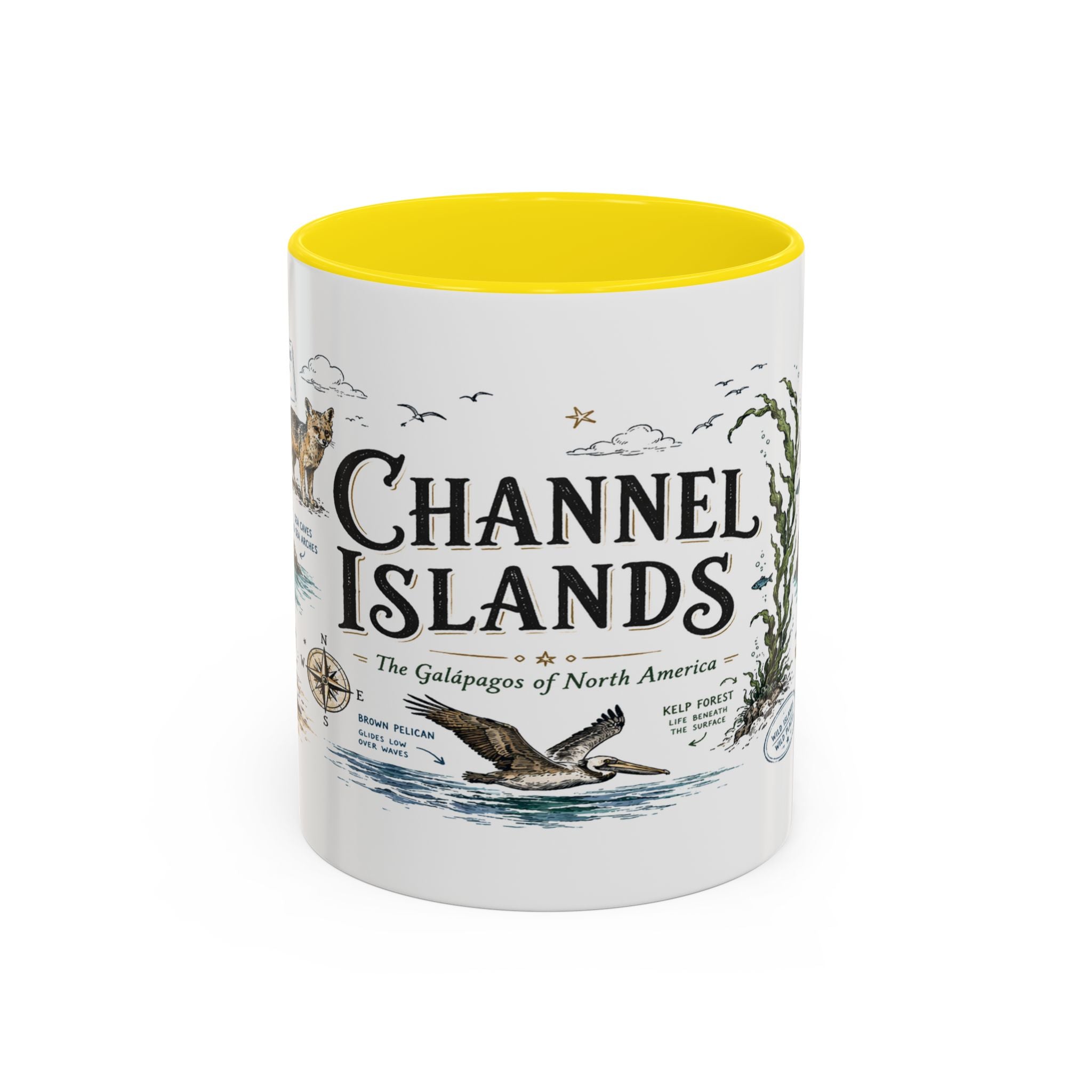 Channel Islands National Park Coffee Mug | California Island Wildlife Marine Gift | Accent Color Ceramic 11oz 15oz
