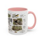 Mammoth Cave National Park Coffee Mug | Kentucky Cave Exploration Hiking Gift | Accent Color Ceramic 11oz 15oz