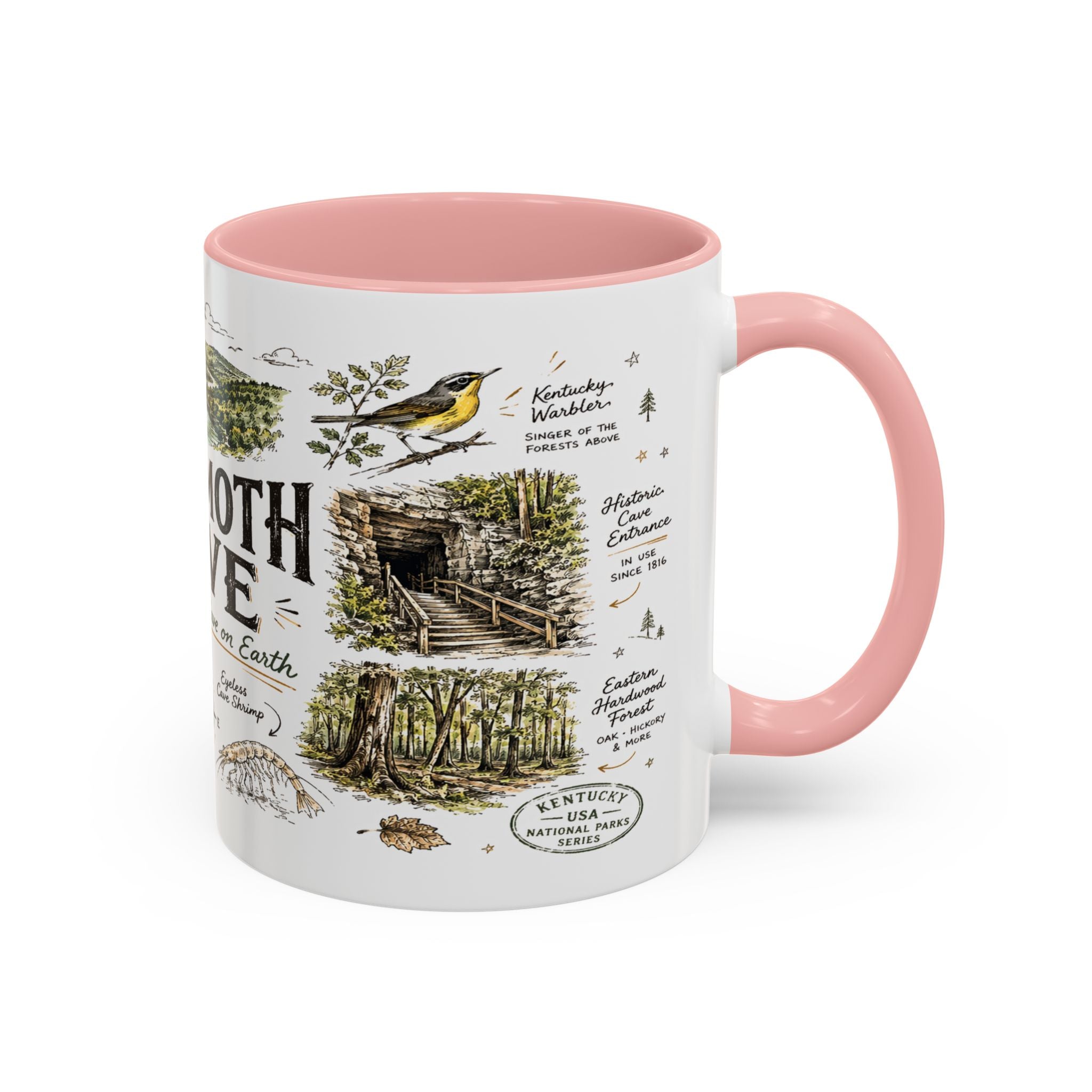 Mammoth Cave National Park Coffee Mug | Kentucky Cave Exploration Hiking Gift | Accent Color Ceramic 11oz 15oz