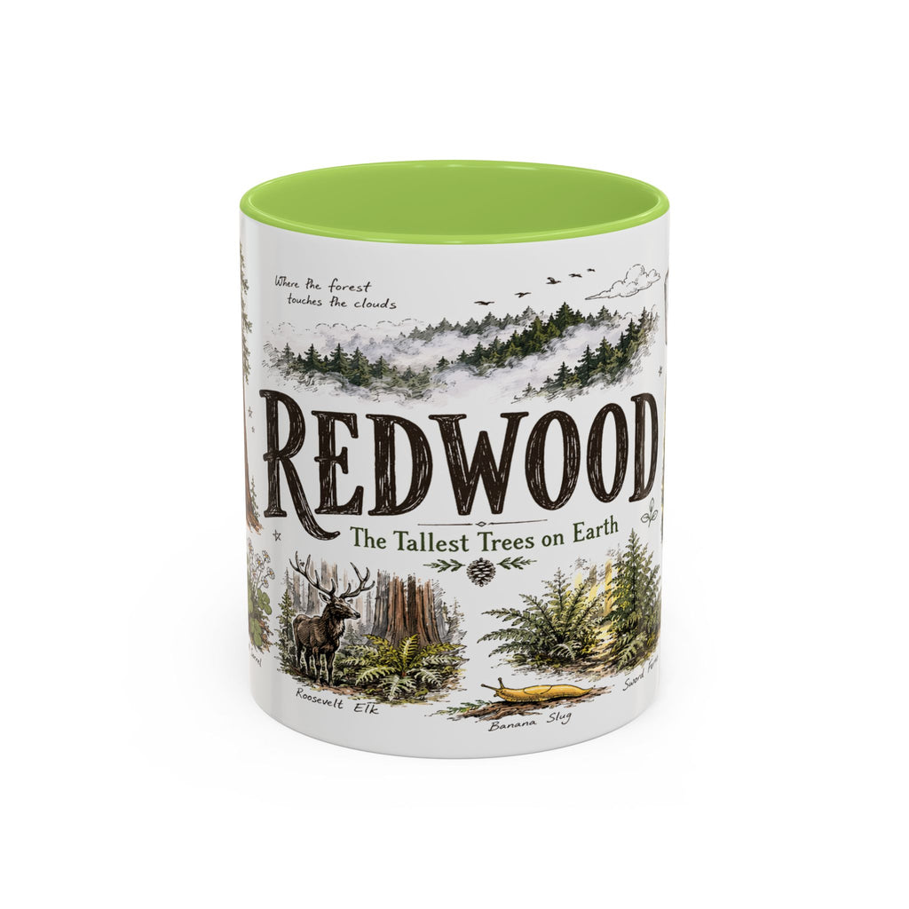 Redwood National Park Coffee Mug | California Coastal Forest Hiking Gift | Accent Color Ceramic 11oz 15oz