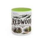 Redwood National Park Coffee Mug | California Coastal Forest Hiking Gift | Accent Color Ceramic 11oz 15oz