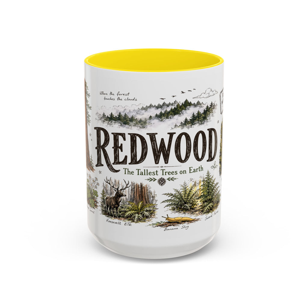 Redwood National Park Coffee Mug | California Coastal Forest Hiking Gift | Accent Color Ceramic 11oz 15oz