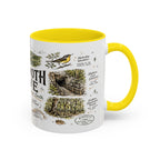 Mammoth Cave National Park Coffee Mug | Kentucky Cave Exploration Hiking Gift | Accent Color Ceramic 11oz 15oz