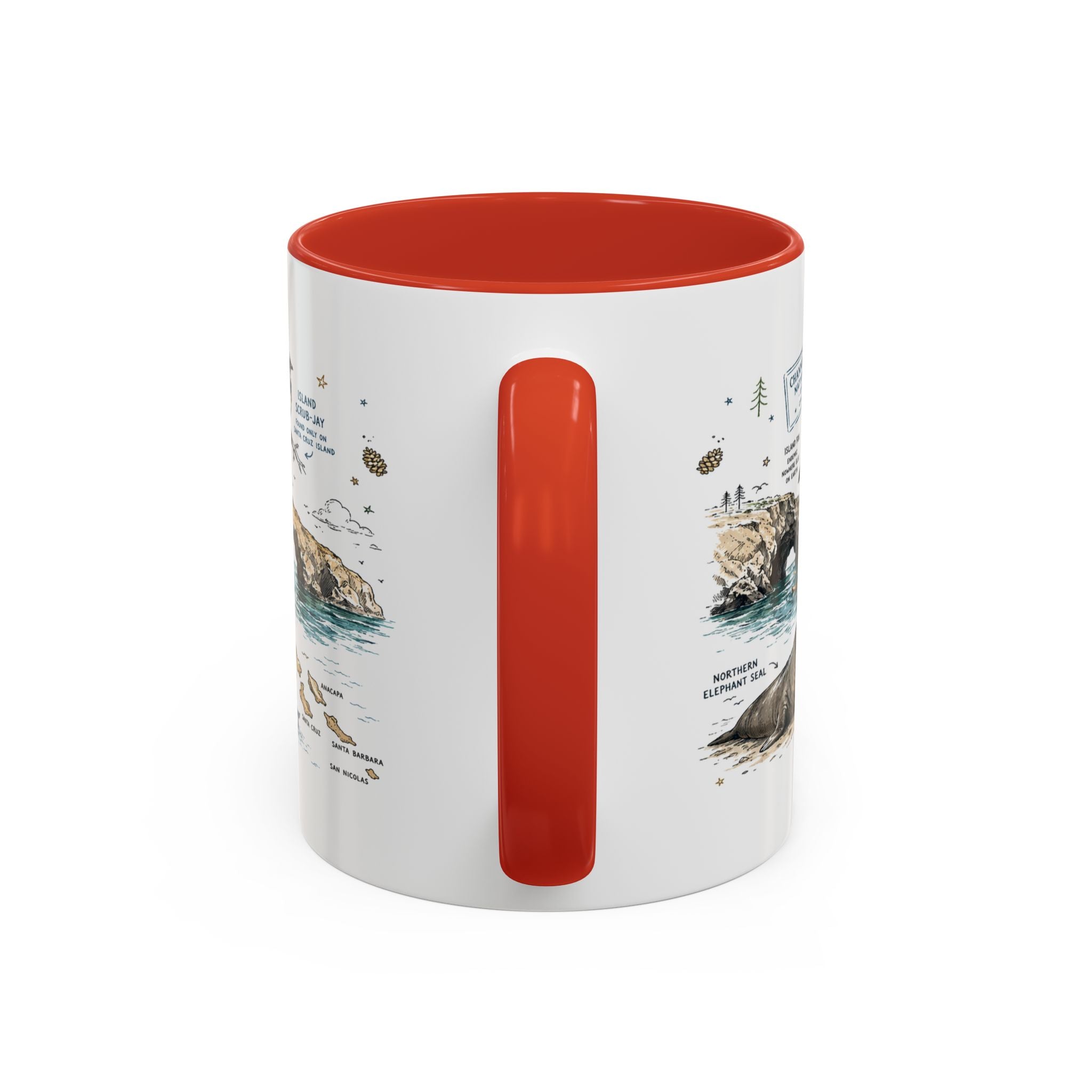 Channel Islands National Park Coffee Mug | California Island Wildlife Marine Gift | Accent Color Ceramic 11oz 15oz
