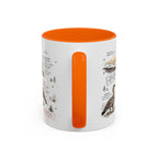 Haleakala National Park Coffee Mug | Hawaii Maui Sunrise Crater Gift | Accent Color Ceramic 11oz 15oz