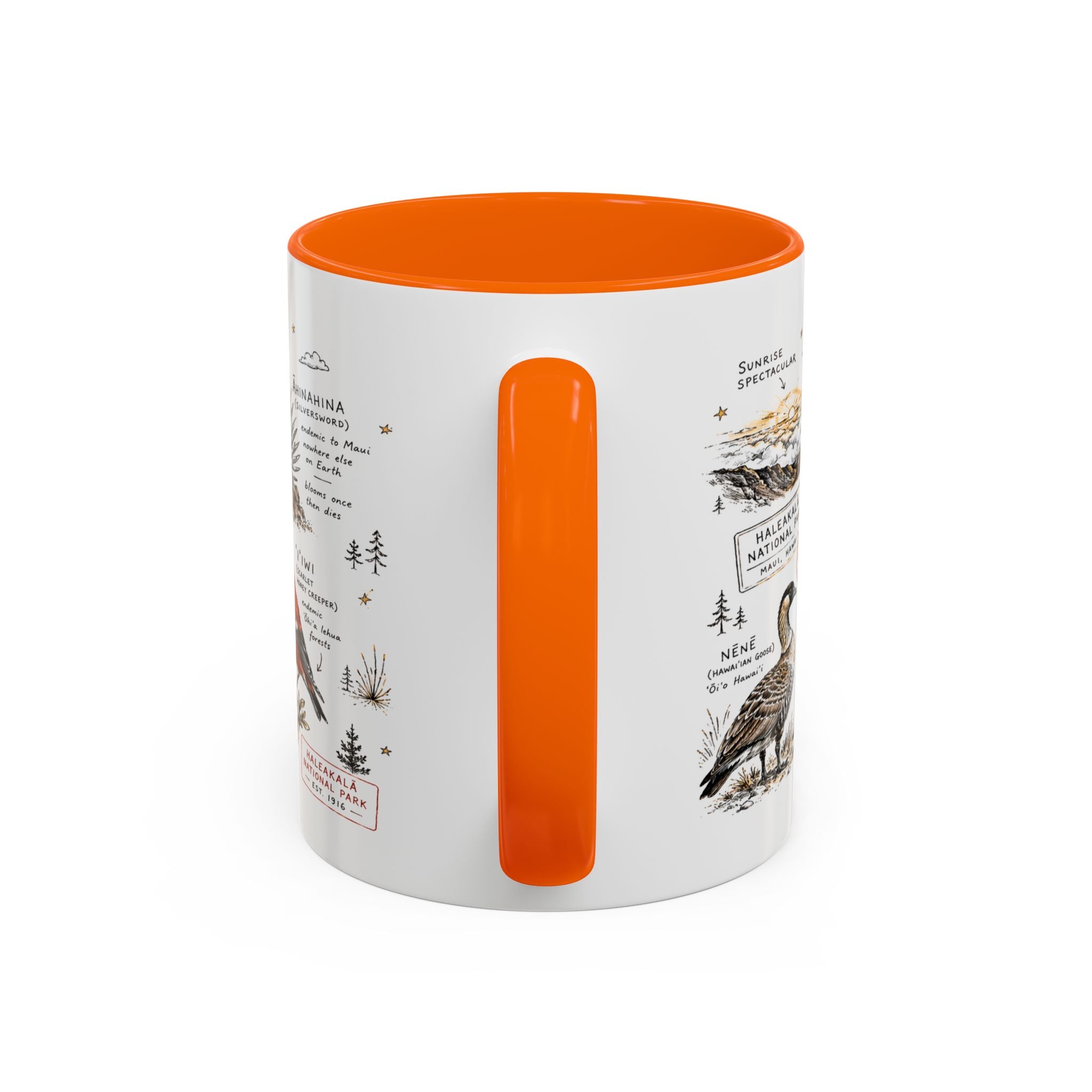 Haleakala National Park Coffee Mug | Hawaii Maui Sunrise Crater Gift | Accent Color Ceramic 11oz 15oz
