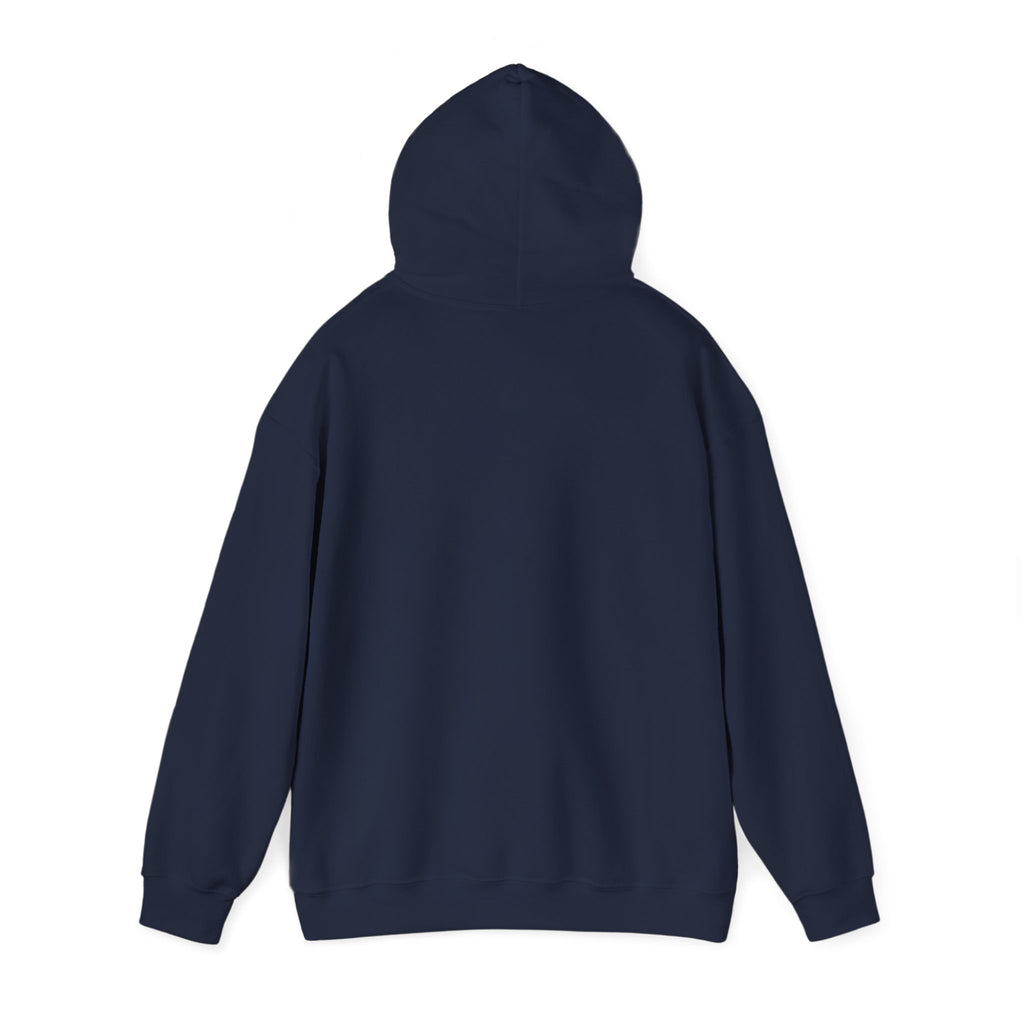 United States Soccer Hoodie | USA Football Fan Gift | Country Supporter Hoodie