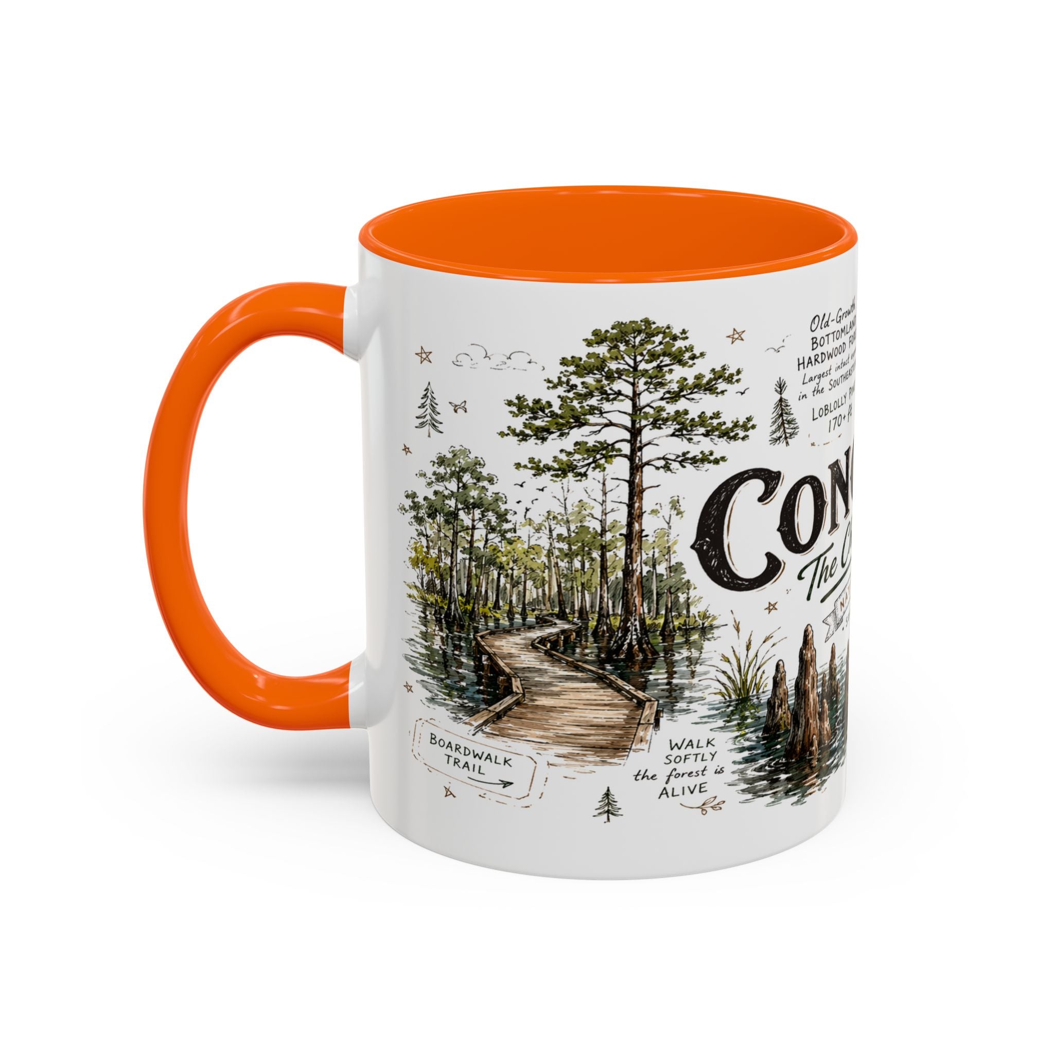 Congaree National Park Coffee Mug | South Carolina Forest Floodplain Gift | Accent Color Ceramic 11oz 15oz