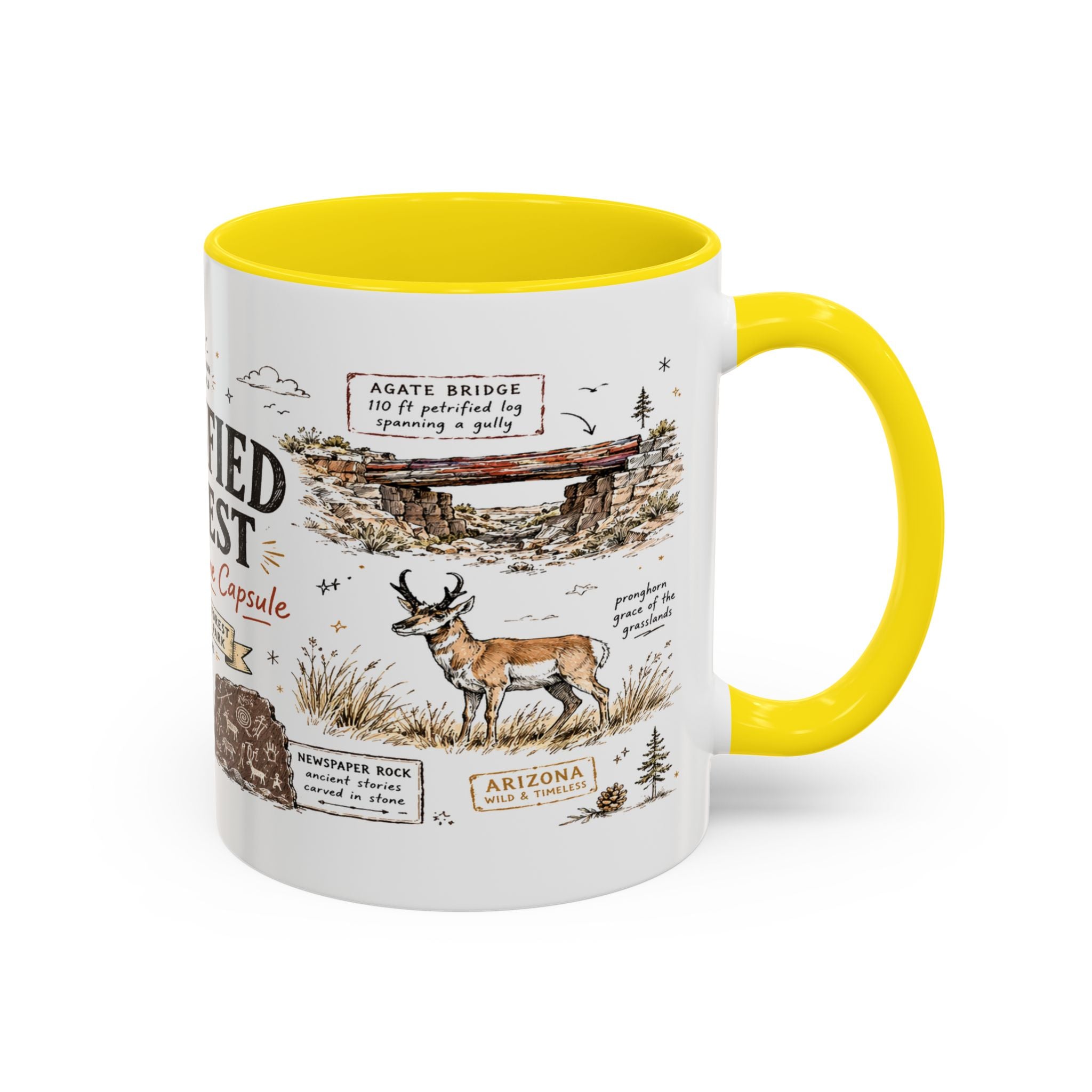 Petrified Forest National Park Coffee Mug | Arizona Painted Desert Fossil Gift | Accent Color Ceramic 11oz 15oz