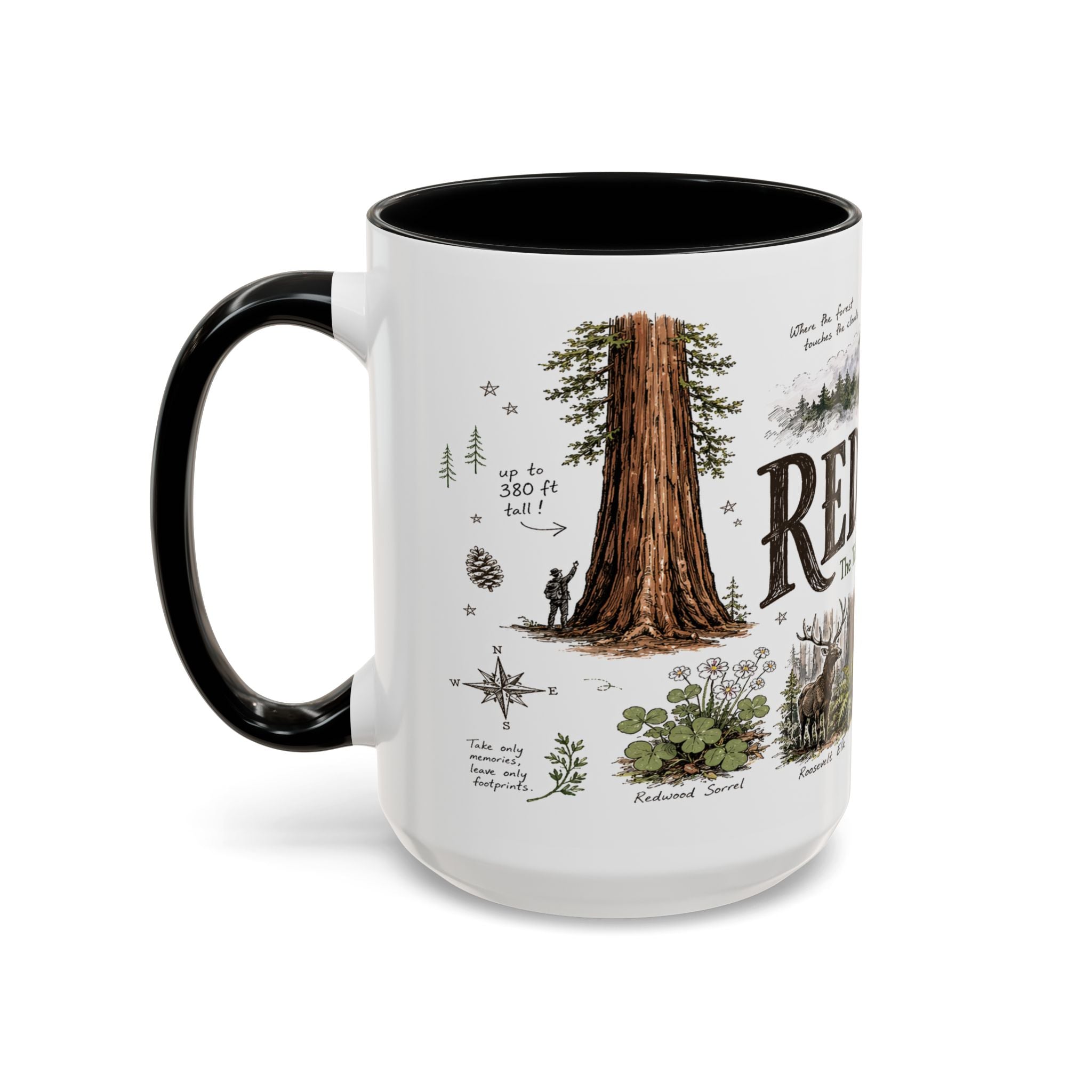 Redwood National Park Coffee Mug | California Coastal Forest Hiking Gift | Accent Color Ceramic 11oz 15oz