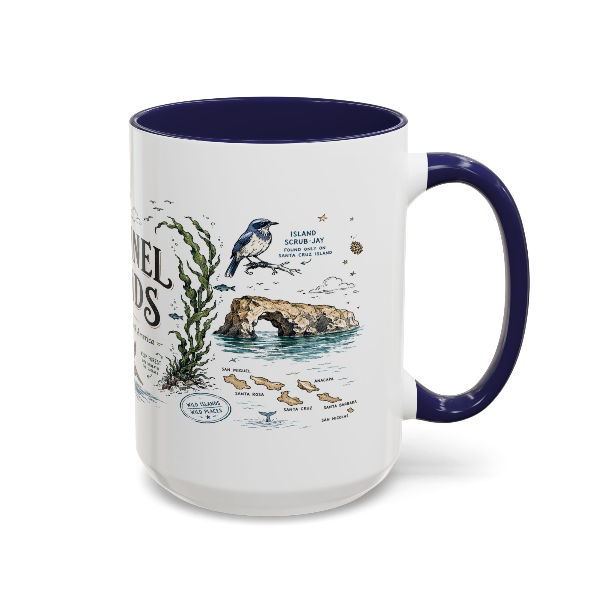 Channel Islands National Park Coffee Mug | California Island Wildlife Marine Gift | Accent Color Ceramic 11oz 15oz