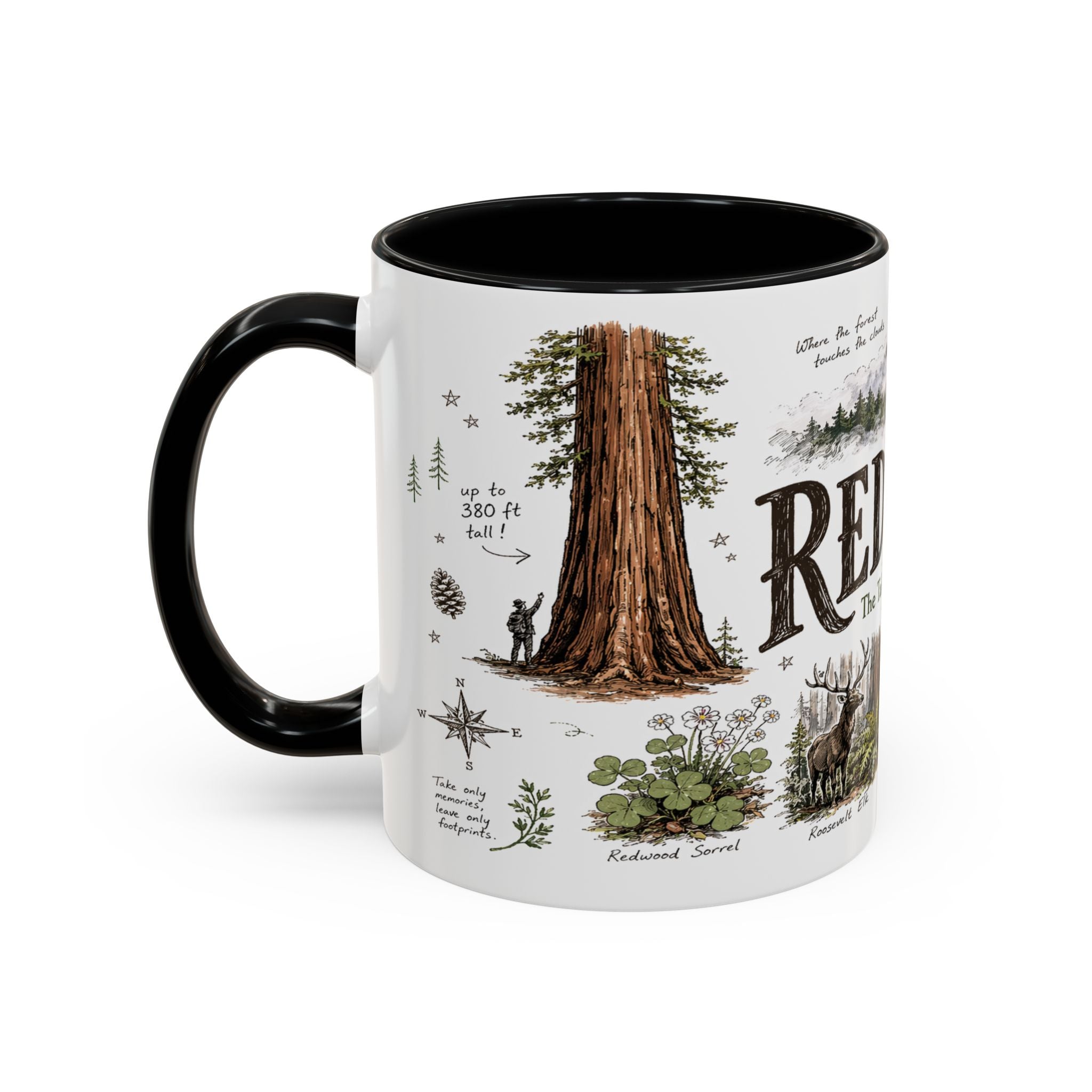 Redwood National Park Coffee Mug | California Coastal Forest Hiking Gift | Accent Color Ceramic 11oz 15oz