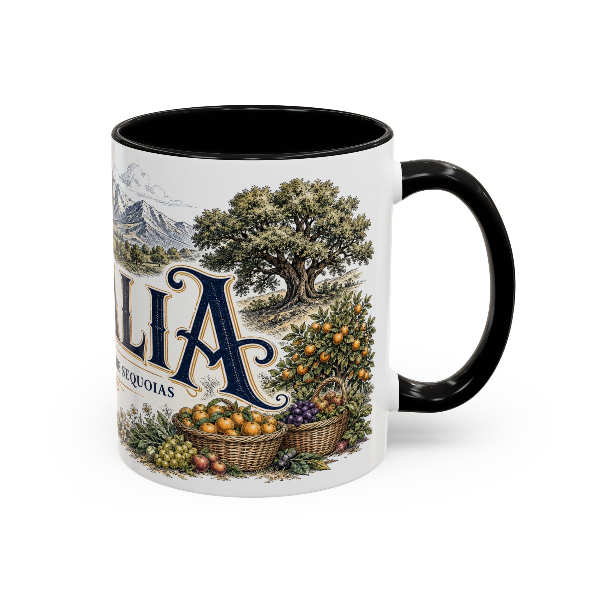 Visalia Coffee Mug | United States Travel Souvenir | Vintage Illustrated City Gift | 11 oz 15 oz Accent Mug