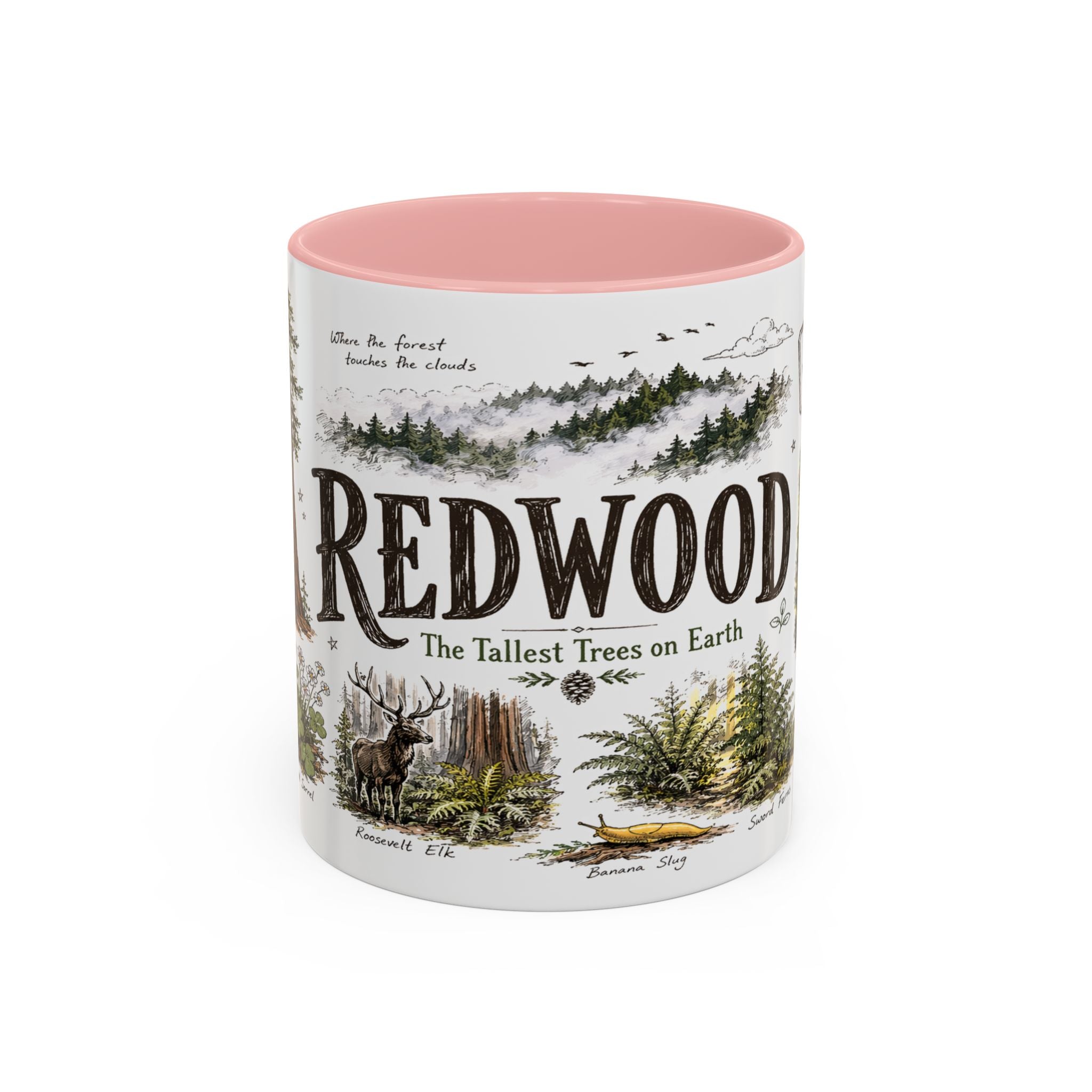 Redwood National Park Coffee Mug | California Coastal Forest Hiking Gift | Accent Color Ceramic 11oz 15oz