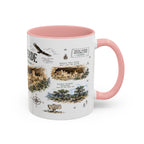 Mesa Verde National Park Coffee Mug | Colorado Ancient Cliff Dwellings Gift | Accent Color Ceramic 11oz 15oz
