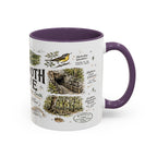 Mammoth Cave National Park Coffee Mug | Kentucky Cave Exploration Hiking Gift | Accent Color Ceramic 11oz 15oz