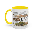 Capitol Reef National Park Coffee Mug | Utah Sandstone Canyon Hiking Gift | Accent Color Ceramic 11oz 15oz