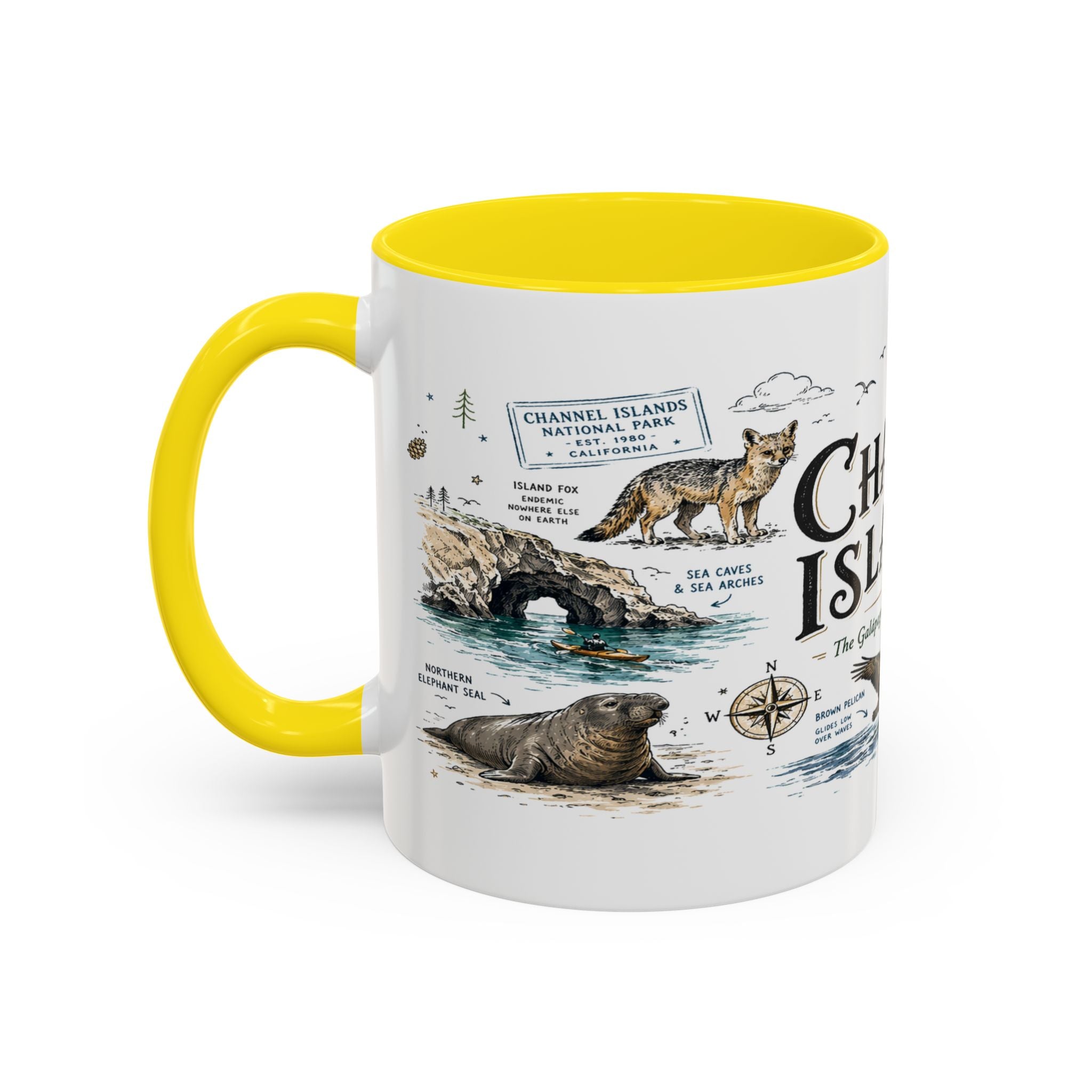Channel Islands National Park Coffee Mug | California Island Wildlife Marine Gift | Accent Color Ceramic 11oz 15oz