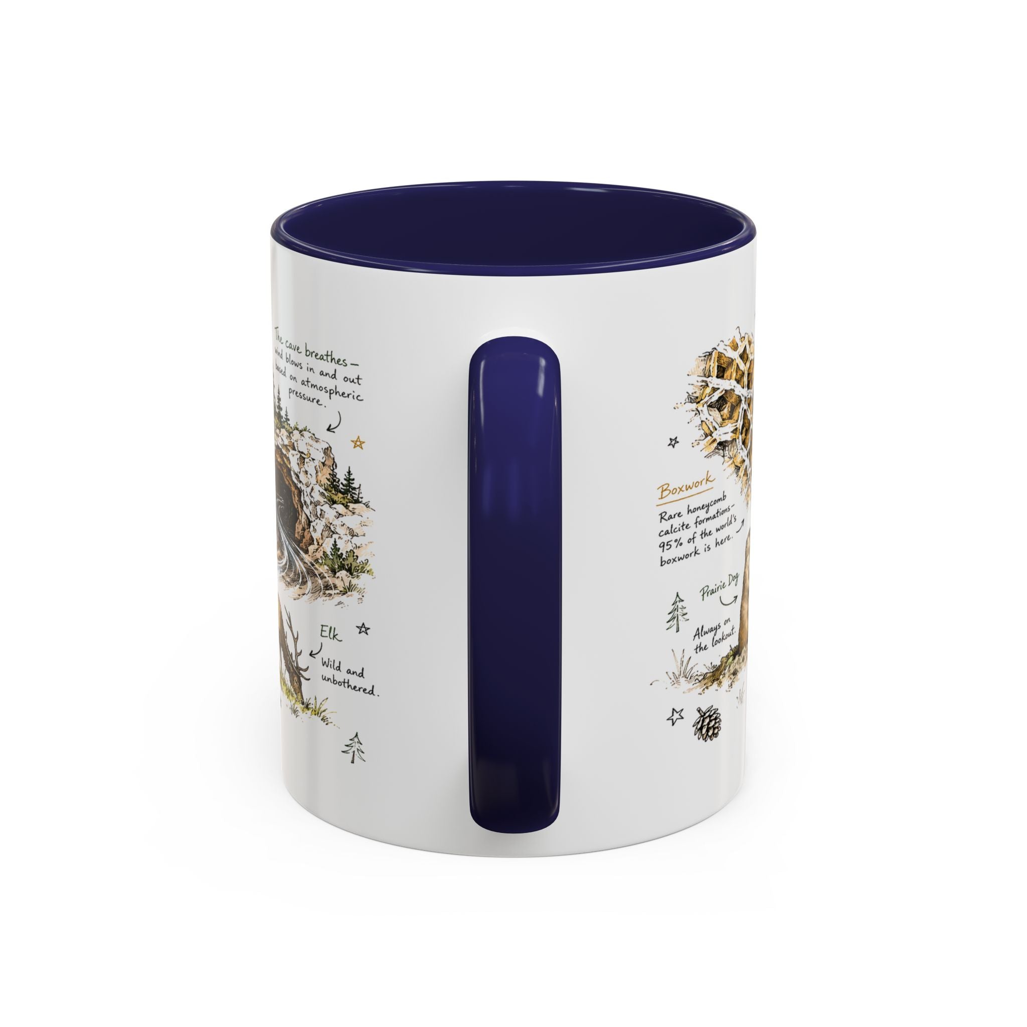Wind Cave National Park Coffee Mug | South Dakota Cave Bison Prairie Gift | Accent Color Ceramic 11oz 15oz