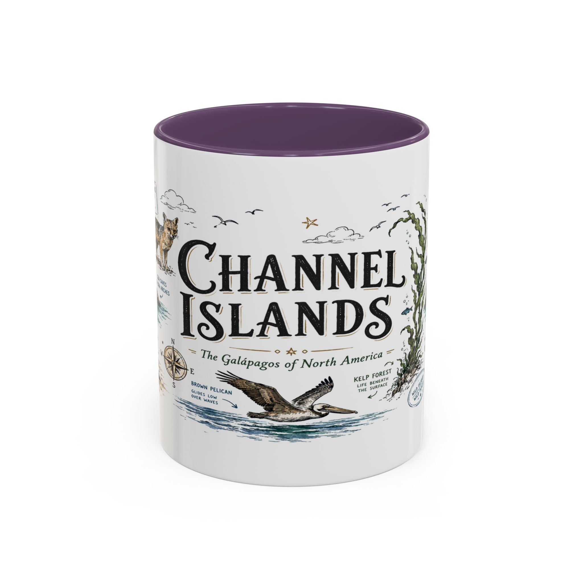 Channel Islands National Park Coffee Mug | California Island Wildlife Marine Gift | Accent Color Ceramic 11oz 15oz