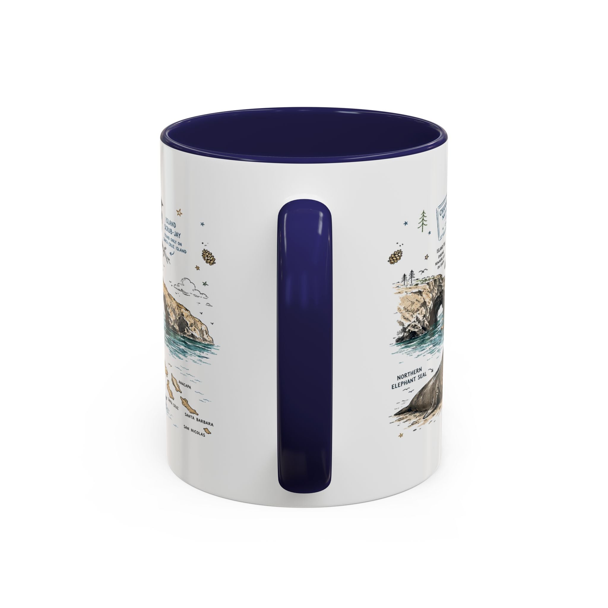 Channel Islands National Park Coffee Mug | California Island Wildlife Marine Gift | Accent Color Ceramic 11oz 15oz