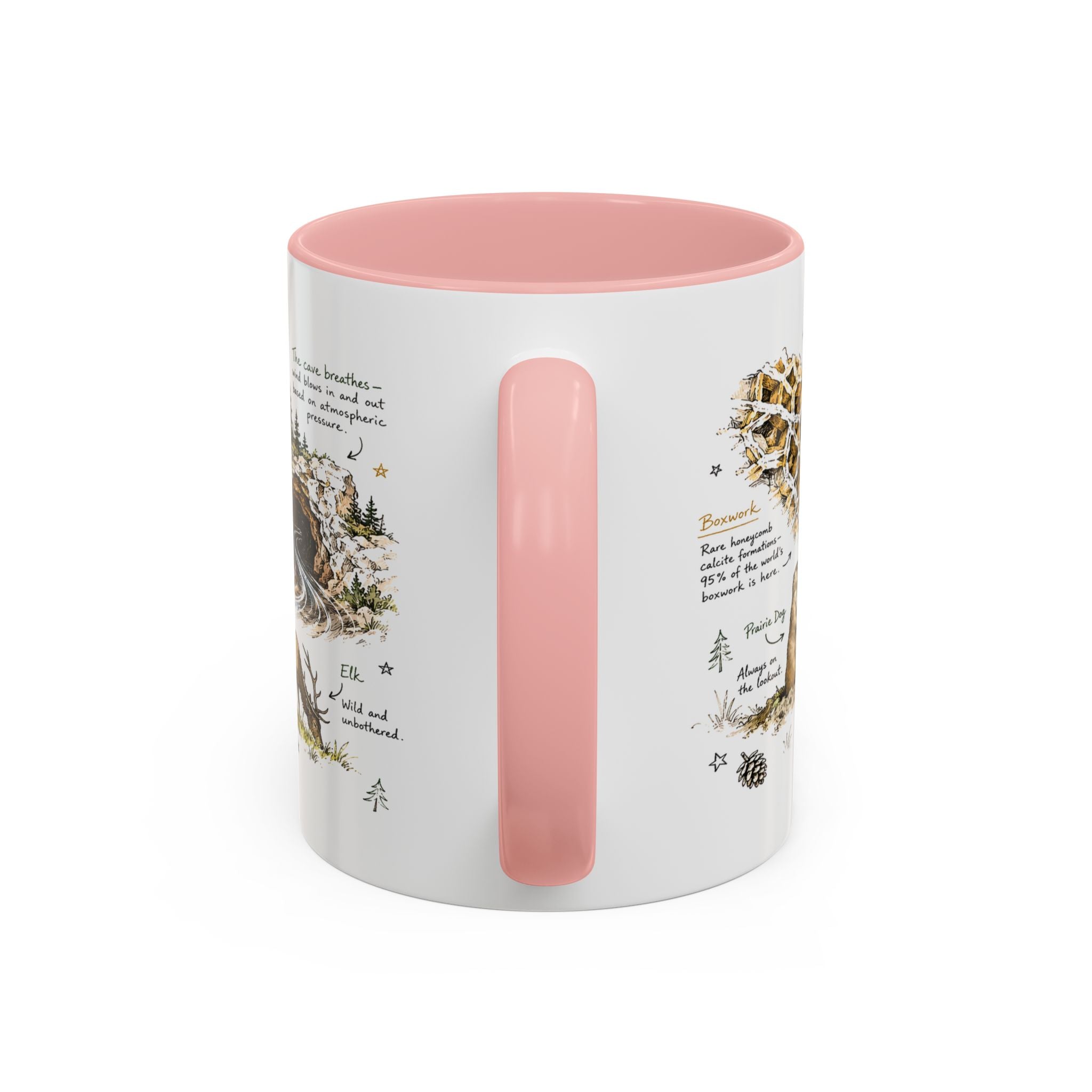 Wind Cave National Park Coffee Mug | South Dakota Cave Bison Prairie Gift | Accent Color Ceramic 11oz 15oz