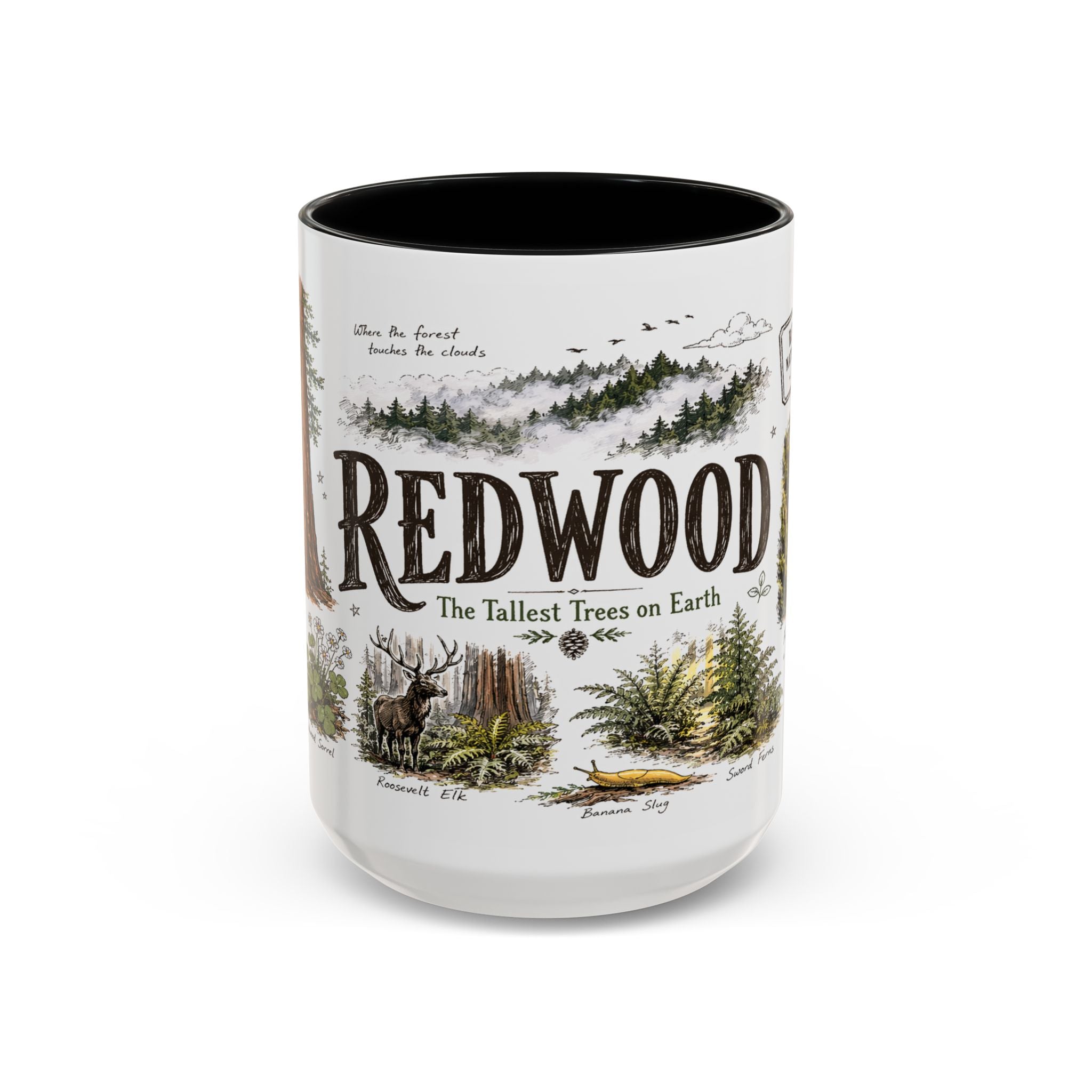 Redwood National Park Coffee Mug | California Coastal Forest Hiking Gift | Accent Color Ceramic 11oz 15oz