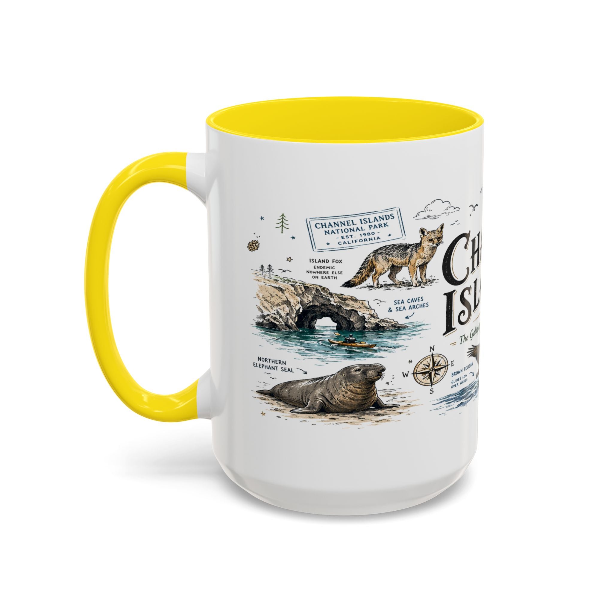 Channel Islands National Park Coffee Mug | California Island Wildlife Marine Gift | Accent Color Ceramic 11oz 15oz