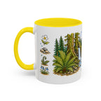 Olympic National Park Mug | US Travel Souvenir Accent Coffee Mug | 11oz 15oz Ceramic Cup