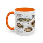 Mesa Verde National Park Coffee Mug | Colorado Ancient Cliff Dwellings Gift | Accent Color Ceramic 11oz 15oz