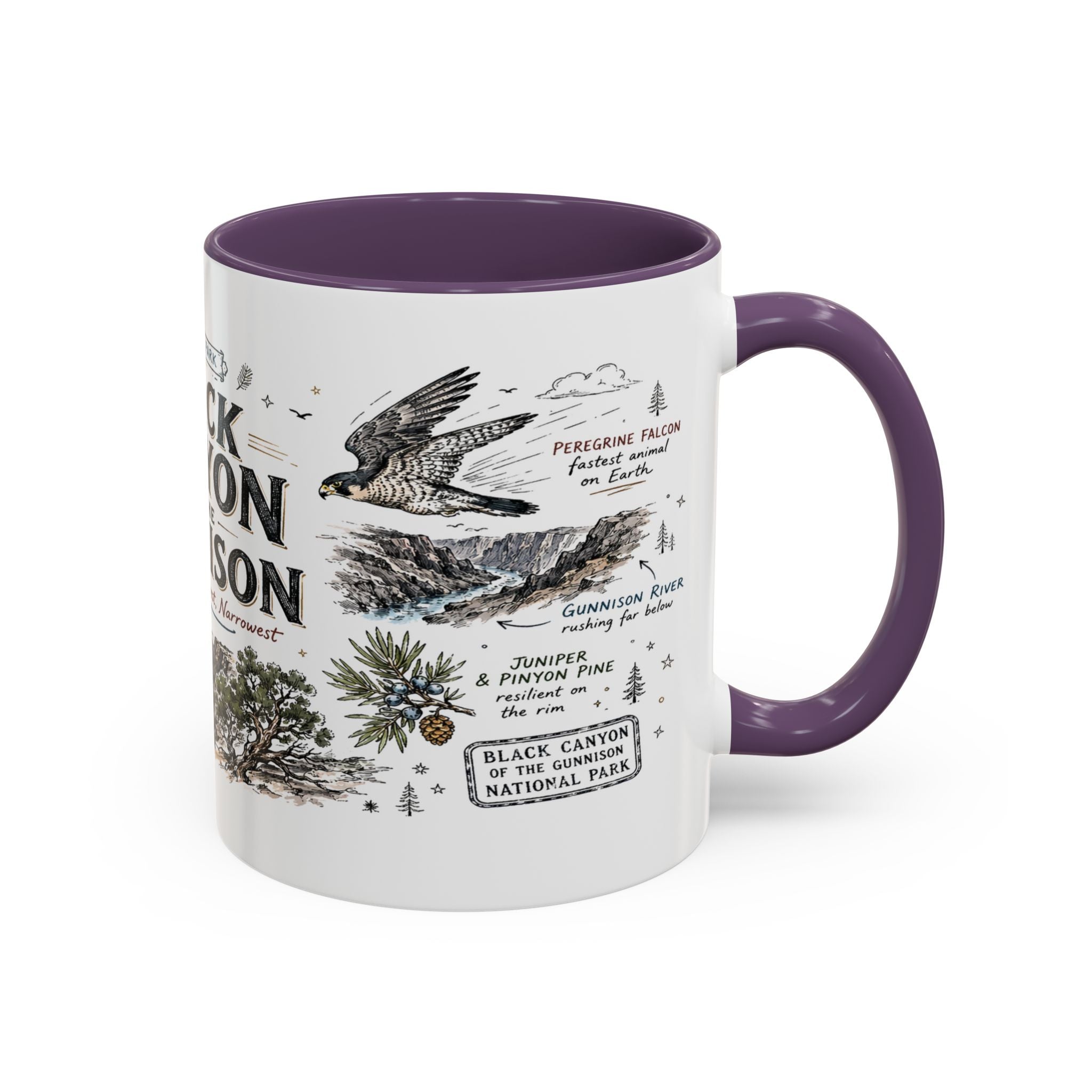 Black Canyon of the Gunnison National Park Coffee Mug | Colorado Deep Canyon Hiking Gift | Accent Color Ceramic 11oz 15oz