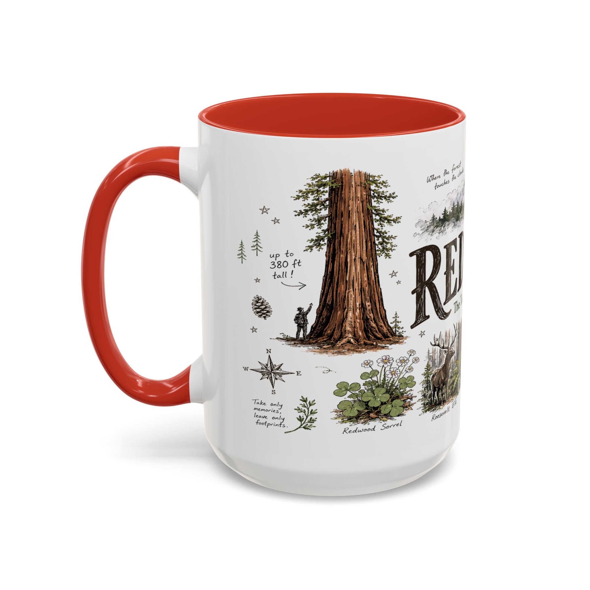 Redwood National Park Coffee Mug | California Coastal Forest Hiking Gift | Accent Color Ceramic 11oz 15oz