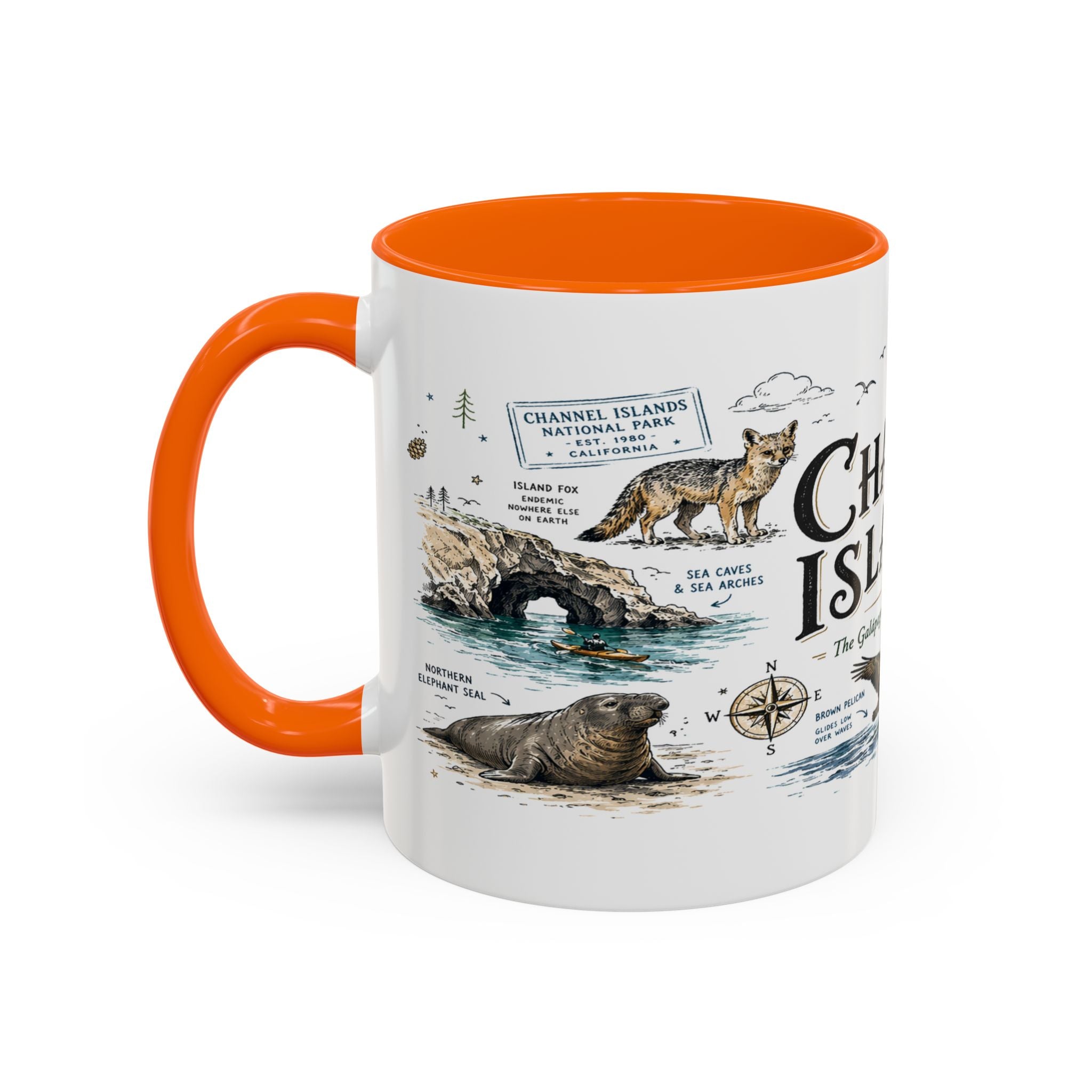 Channel Islands National Park Coffee Mug | California Island Wildlife Marine Gift | Accent Color Ceramic 11oz 15oz