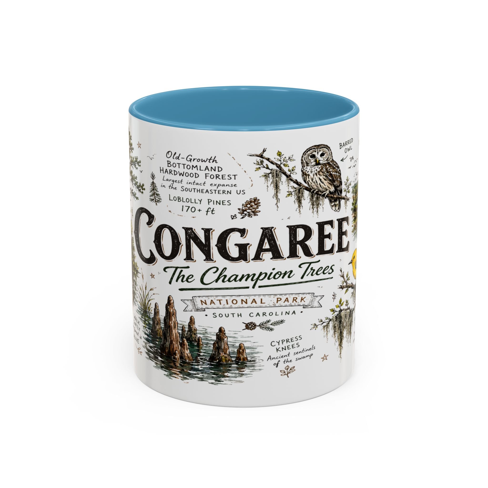 Congaree National Park Coffee Mug | South Carolina Forest Floodplain Gift | Accent Color Ceramic 11oz 15oz