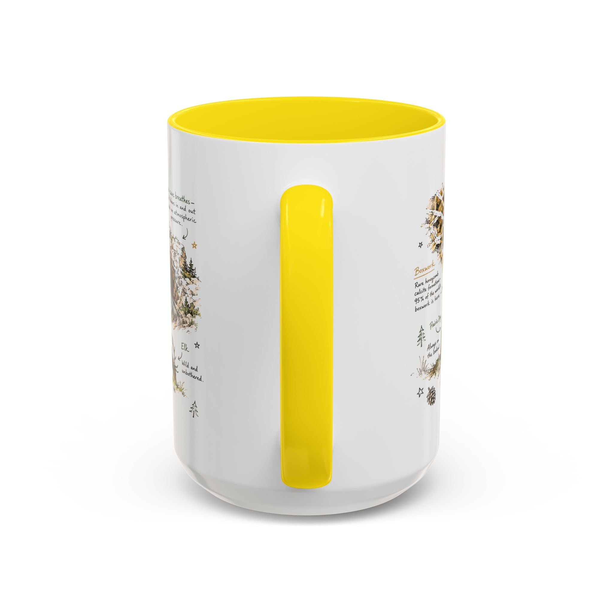Wind Cave National Park Coffee Mug | South Dakota Cave Bison Prairie Gift | Accent Color Ceramic 11oz 15oz