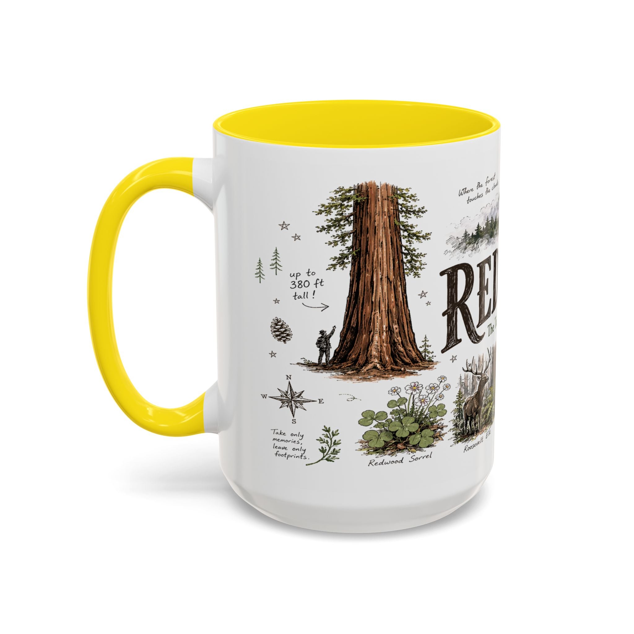 Redwood National Park Coffee Mug | California Coastal Forest Hiking Gift | Accent Color Ceramic 11oz 15oz