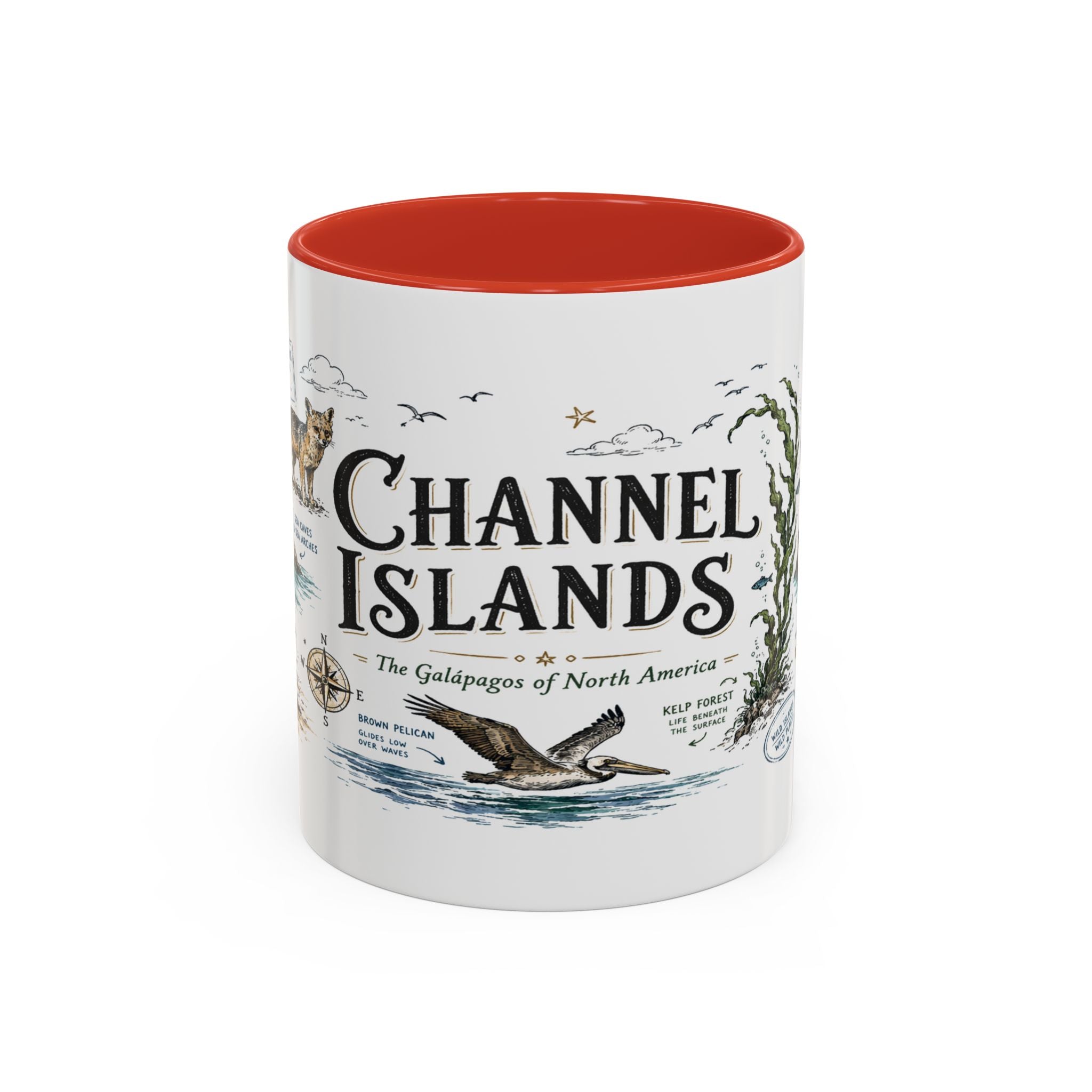 Channel Islands National Park Coffee Mug | California Island Wildlife Marine Gift | Accent Color Ceramic 11oz 15oz
