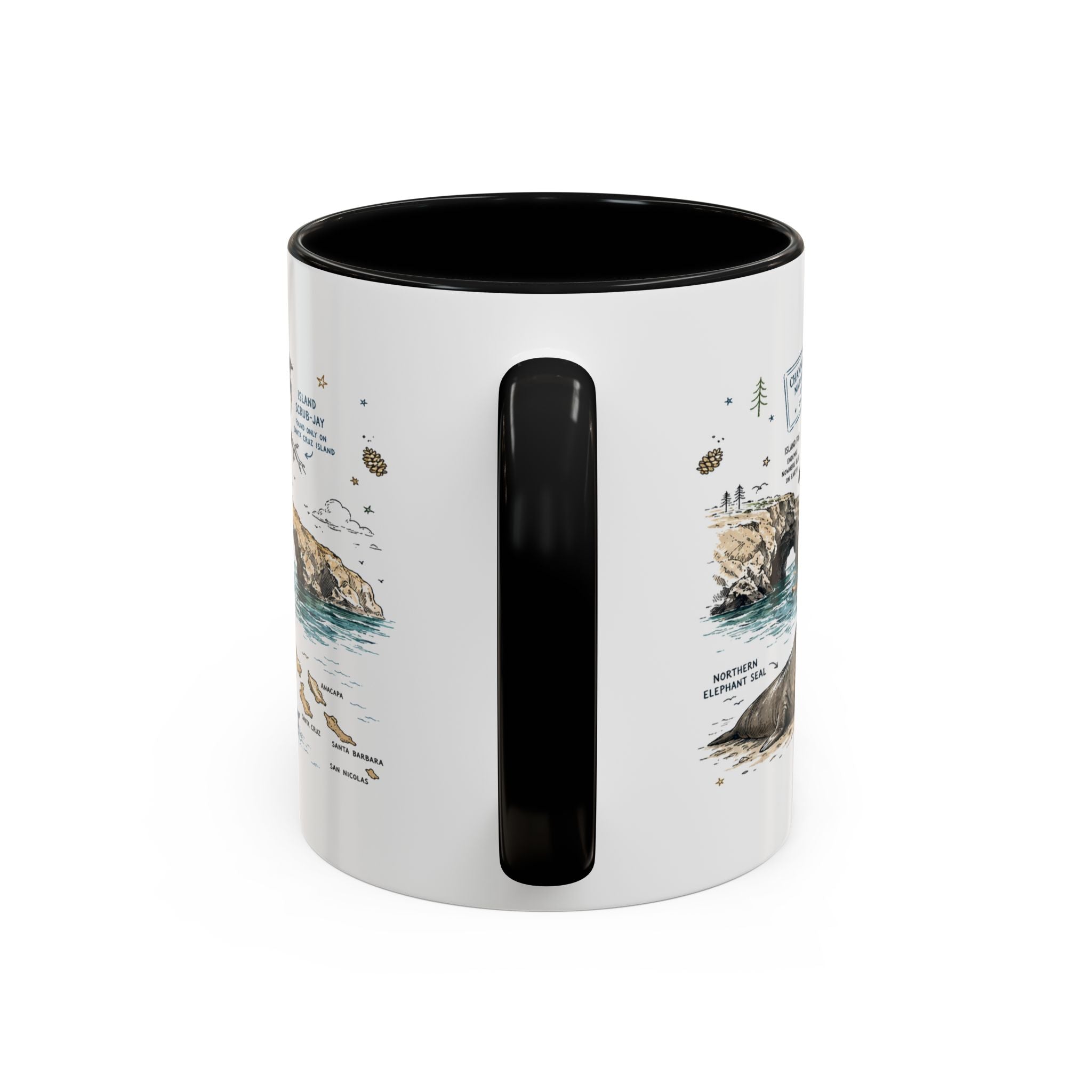 Channel Islands National Park Coffee Mug | California Island Wildlife Marine Gift | Accent Color Ceramic 11oz 15oz