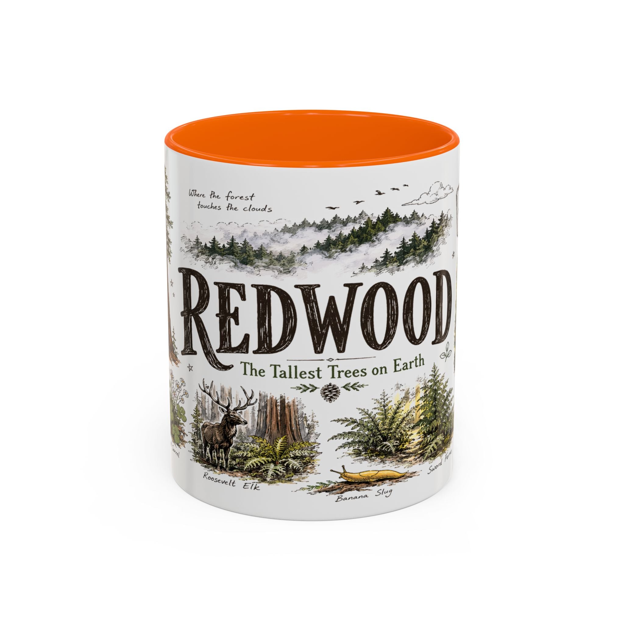 Redwood National Park Coffee Mug | California Coastal Forest Hiking Gift | Accent Color Ceramic 11oz 15oz