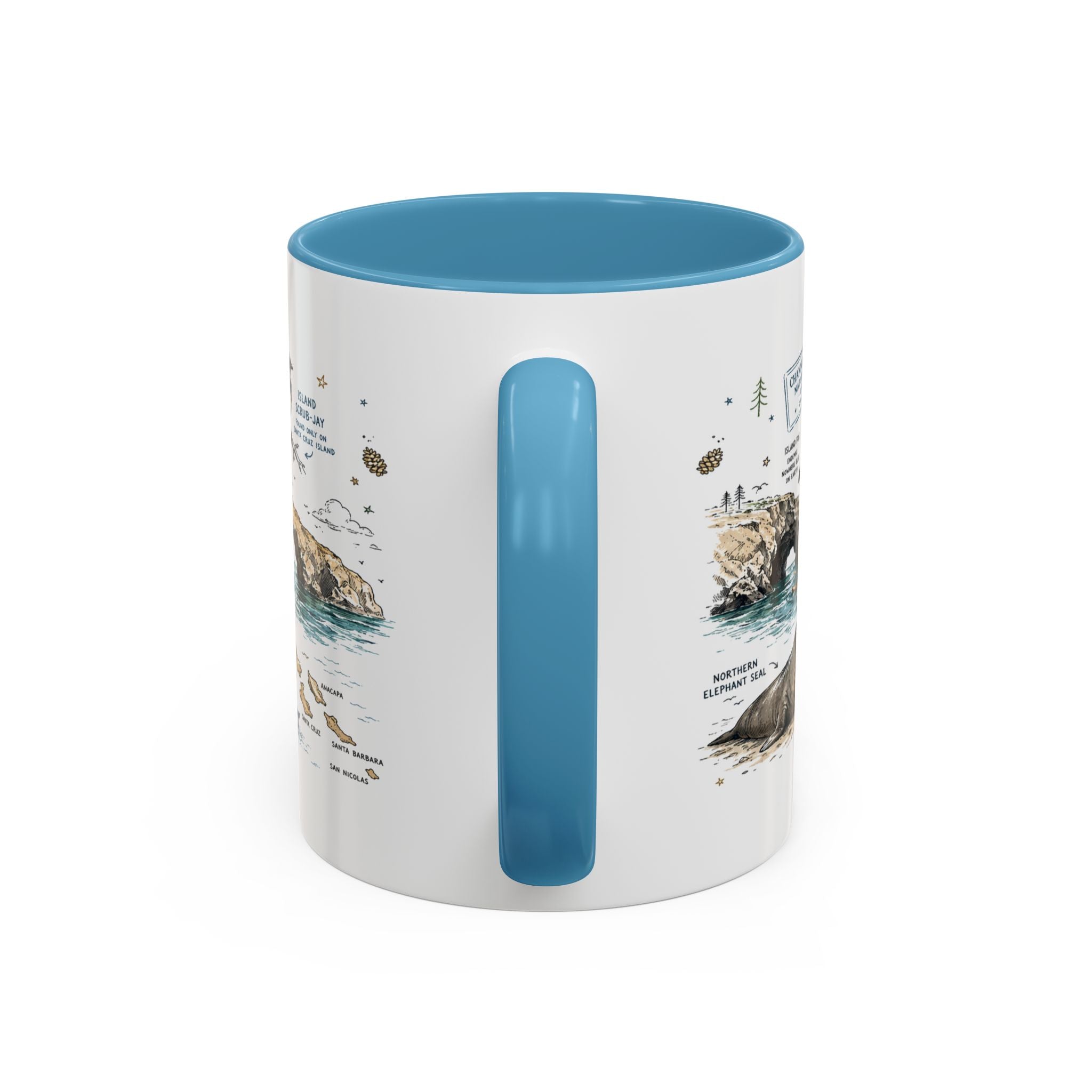 Channel Islands National Park Coffee Mug | California Island Wildlife Marine Gift | Accent Color Ceramic 11oz 15oz