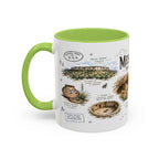 Mesa Verde National Park Coffee Mug | Colorado Ancient Cliff Dwellings Gift | Accent Color Ceramic 11oz 15oz