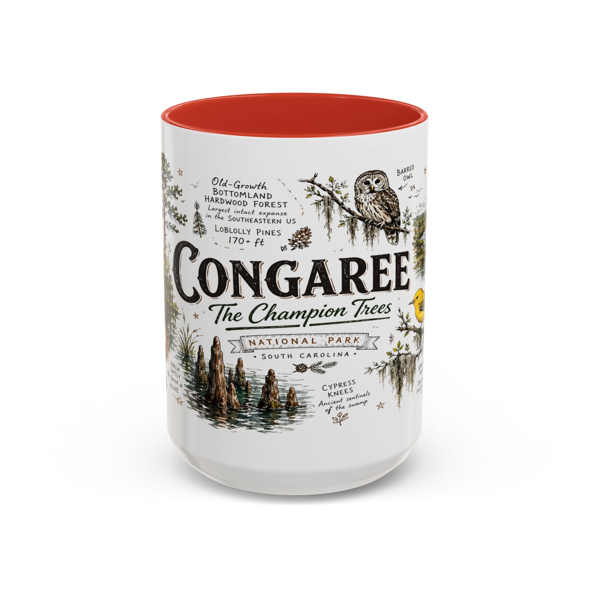Congaree National Park Coffee Mug | South Carolina Forest Floodplain Gift | Accent Color Ceramic 11oz 15oz